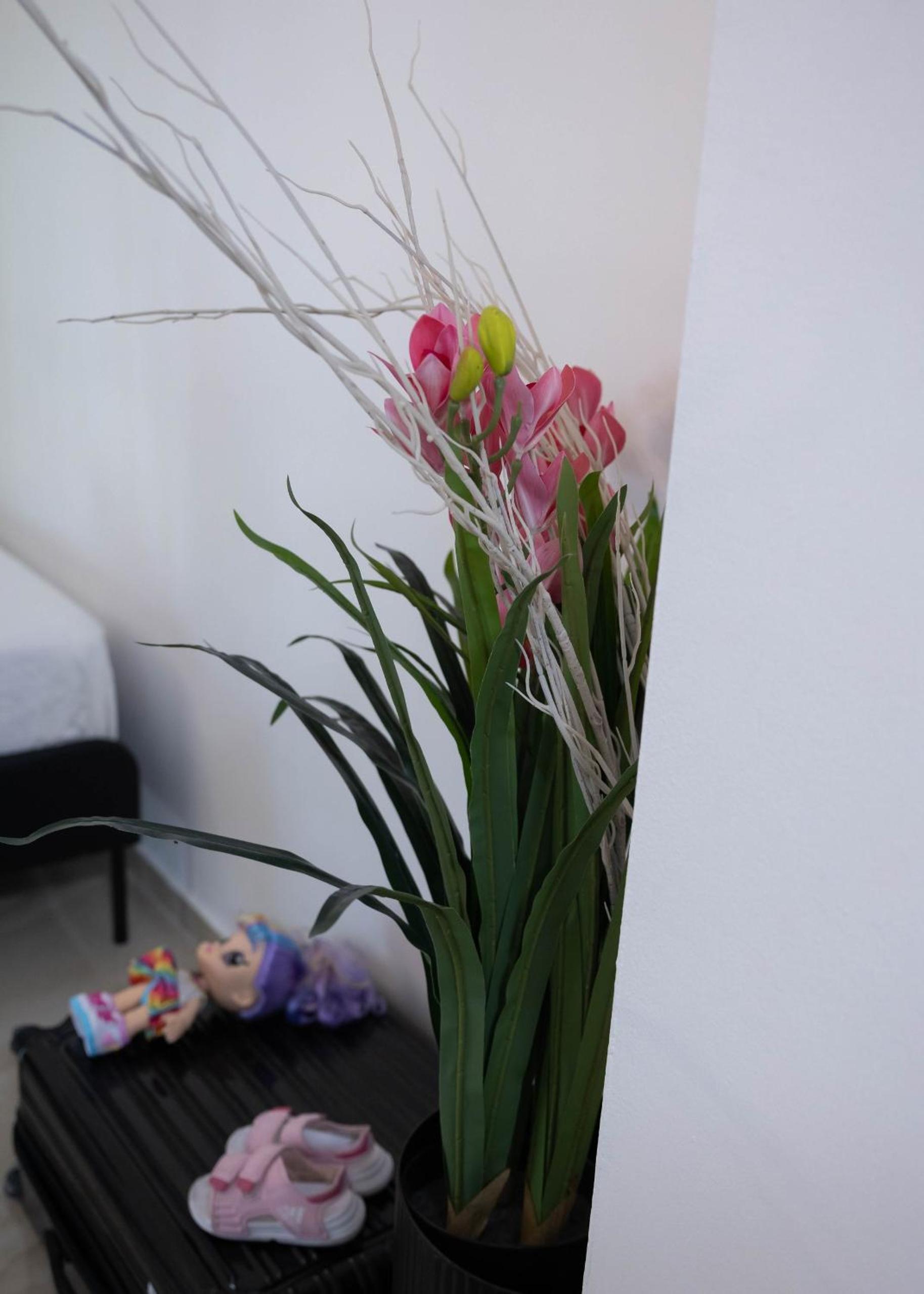 Photo 29