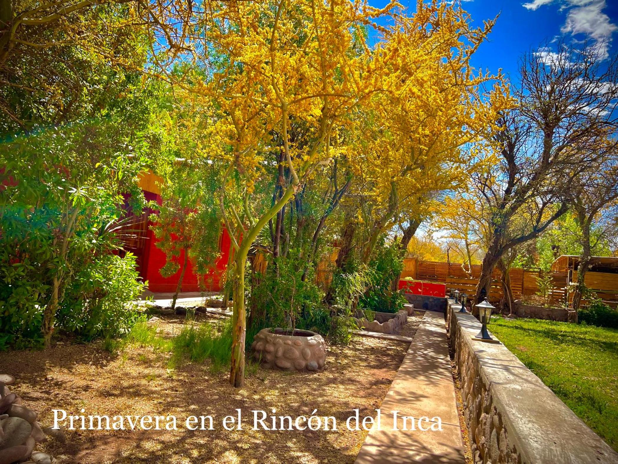 Rincon del Inca