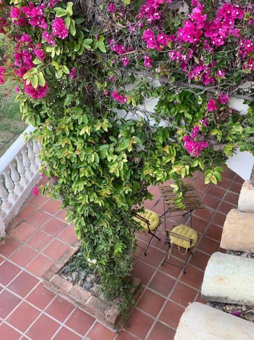Casa Hermosa Mijas- 7 bedroom villa-sleeps 14