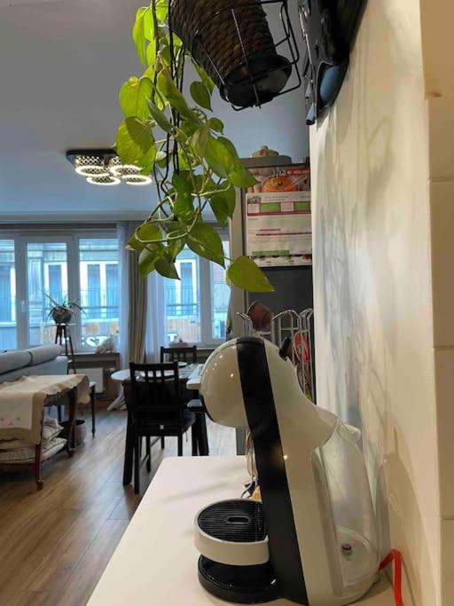 Superbe appartement dans le centre de Mons - Arivée autonome