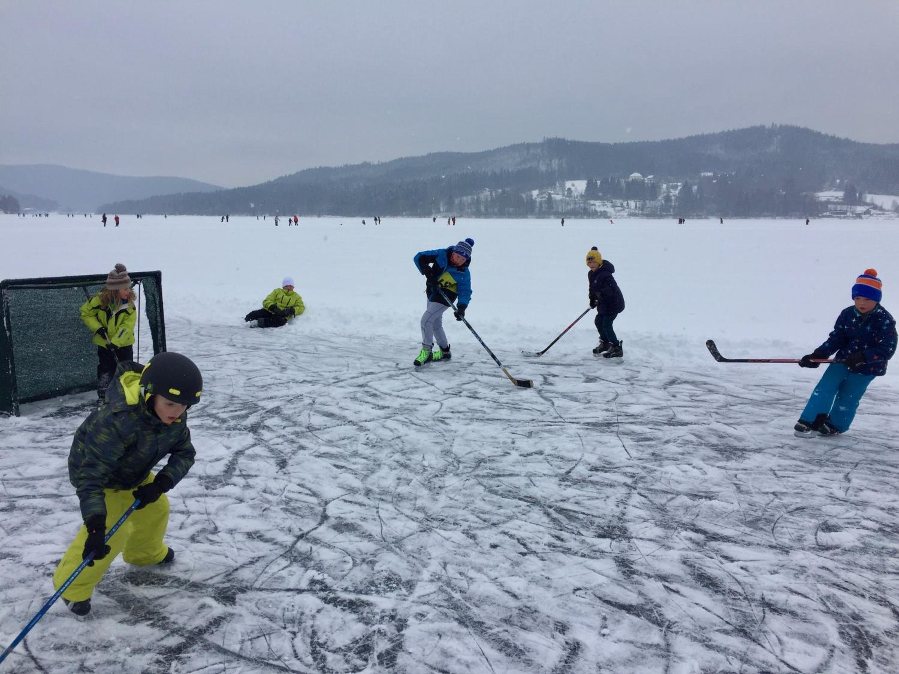 Lipno Villa Beach - Lipno Stausee - Lakeside