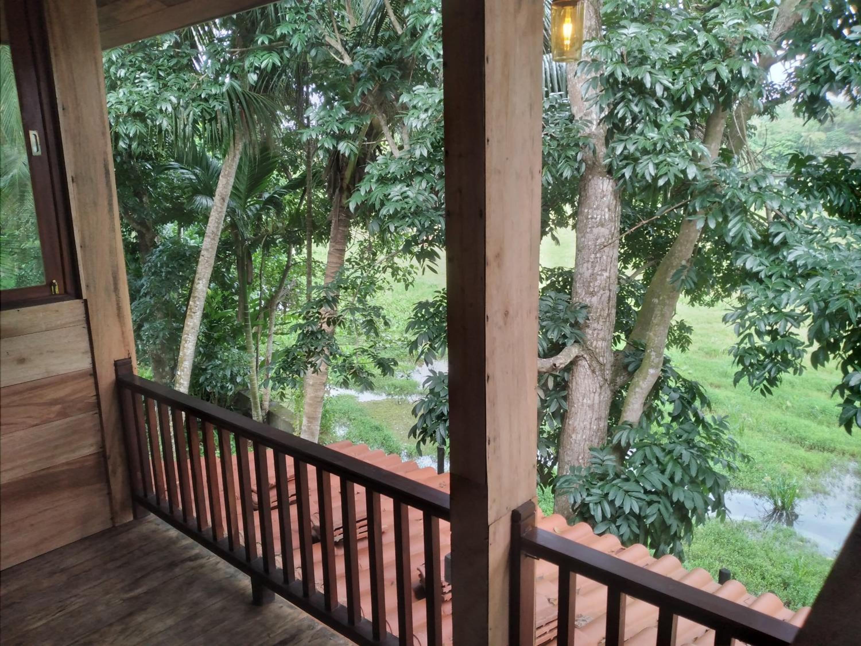 Green Herbal Ayurvedic Eco-Chalets view 2