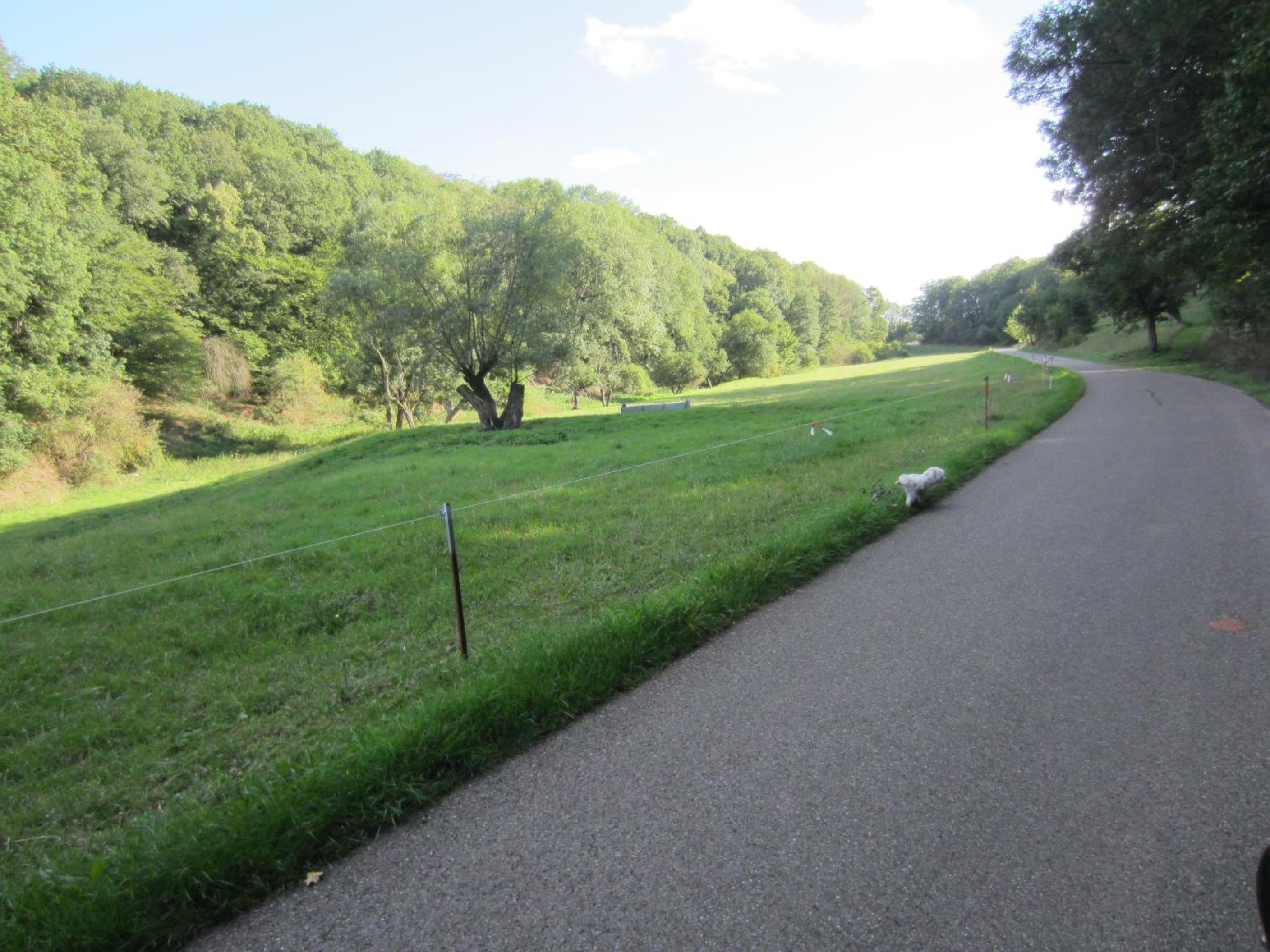 other