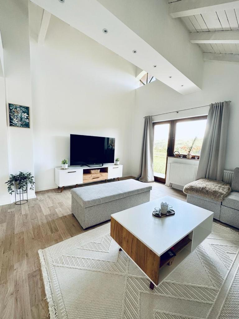 Vila Milincic Milincic Nest