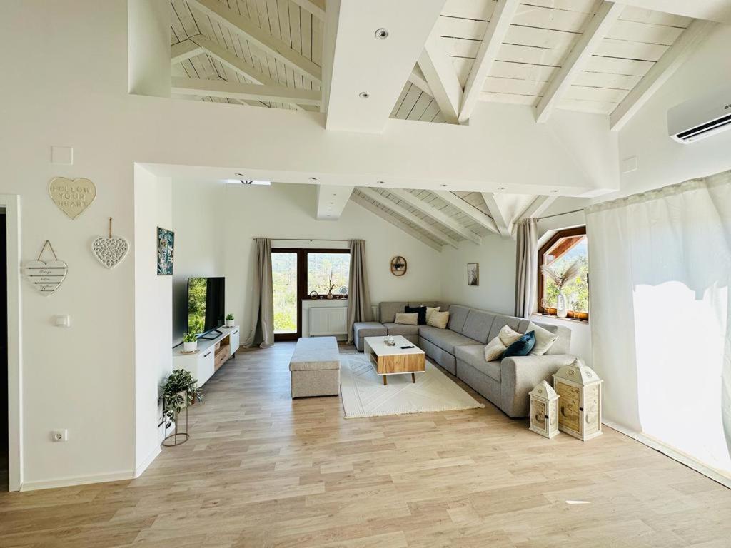 Vila Milincic Milincic Nest