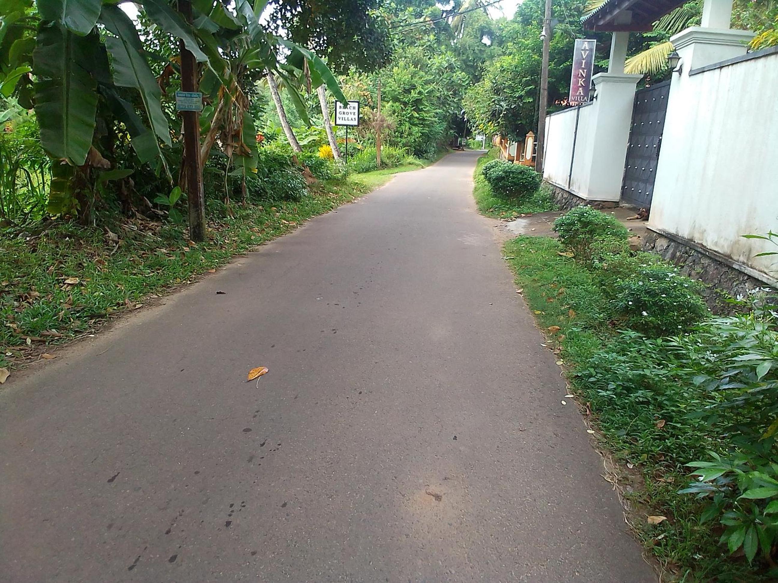 Photo 16