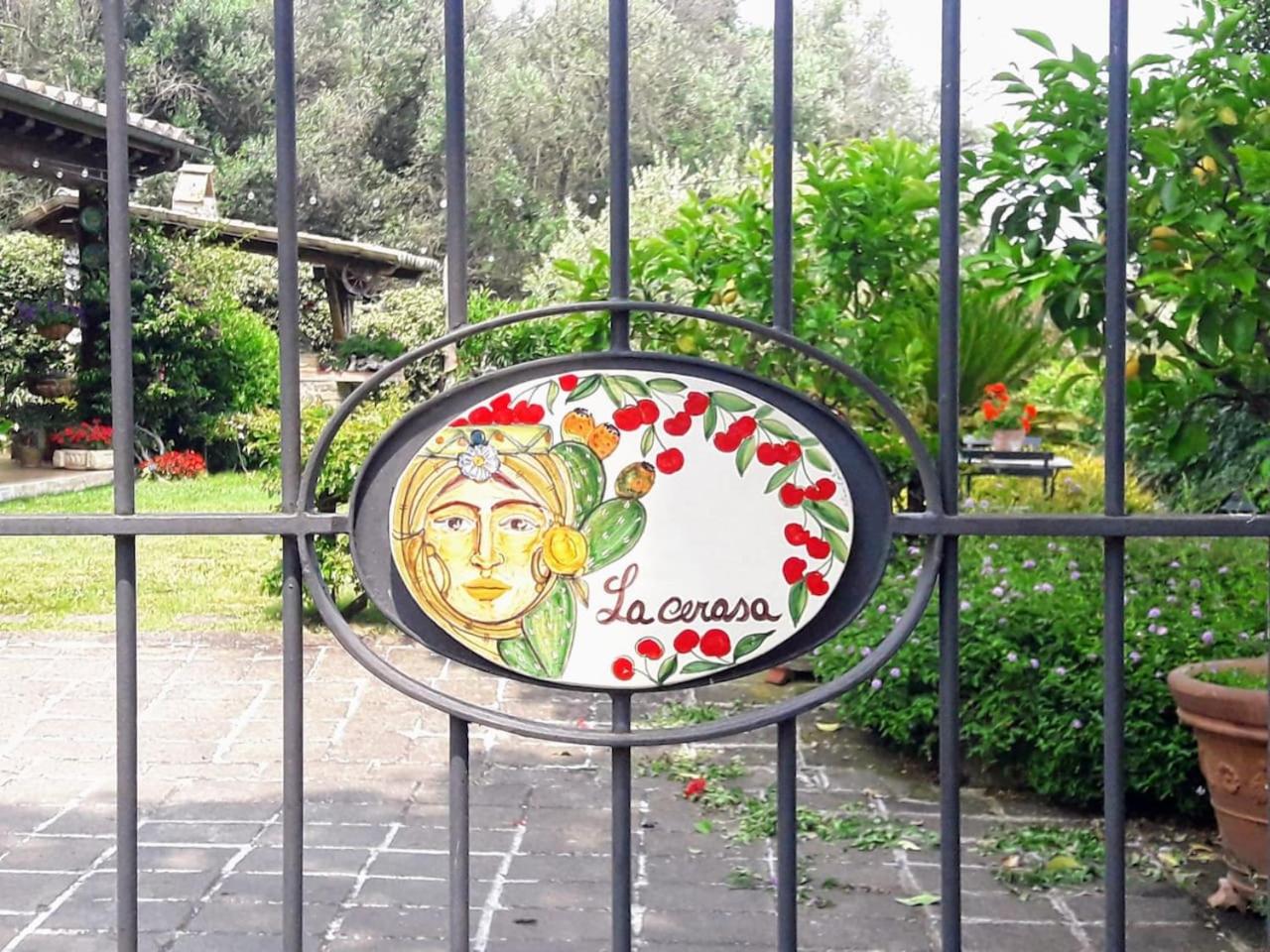 La Cerasa - vista Lago di Bracciano e giardino privato view 2