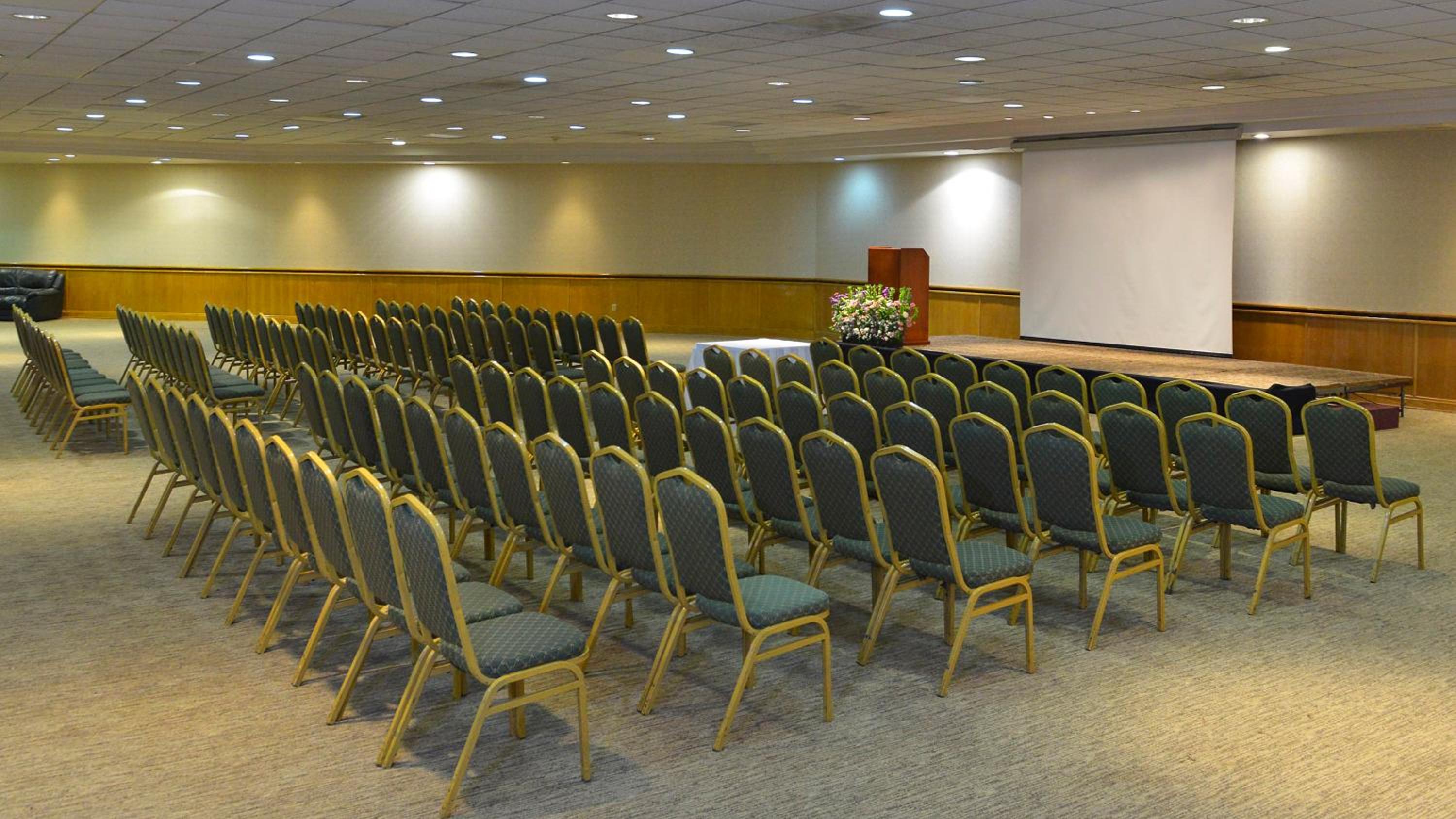 Holiday Inn Morelia, an IHG Hotel - Property Image 21