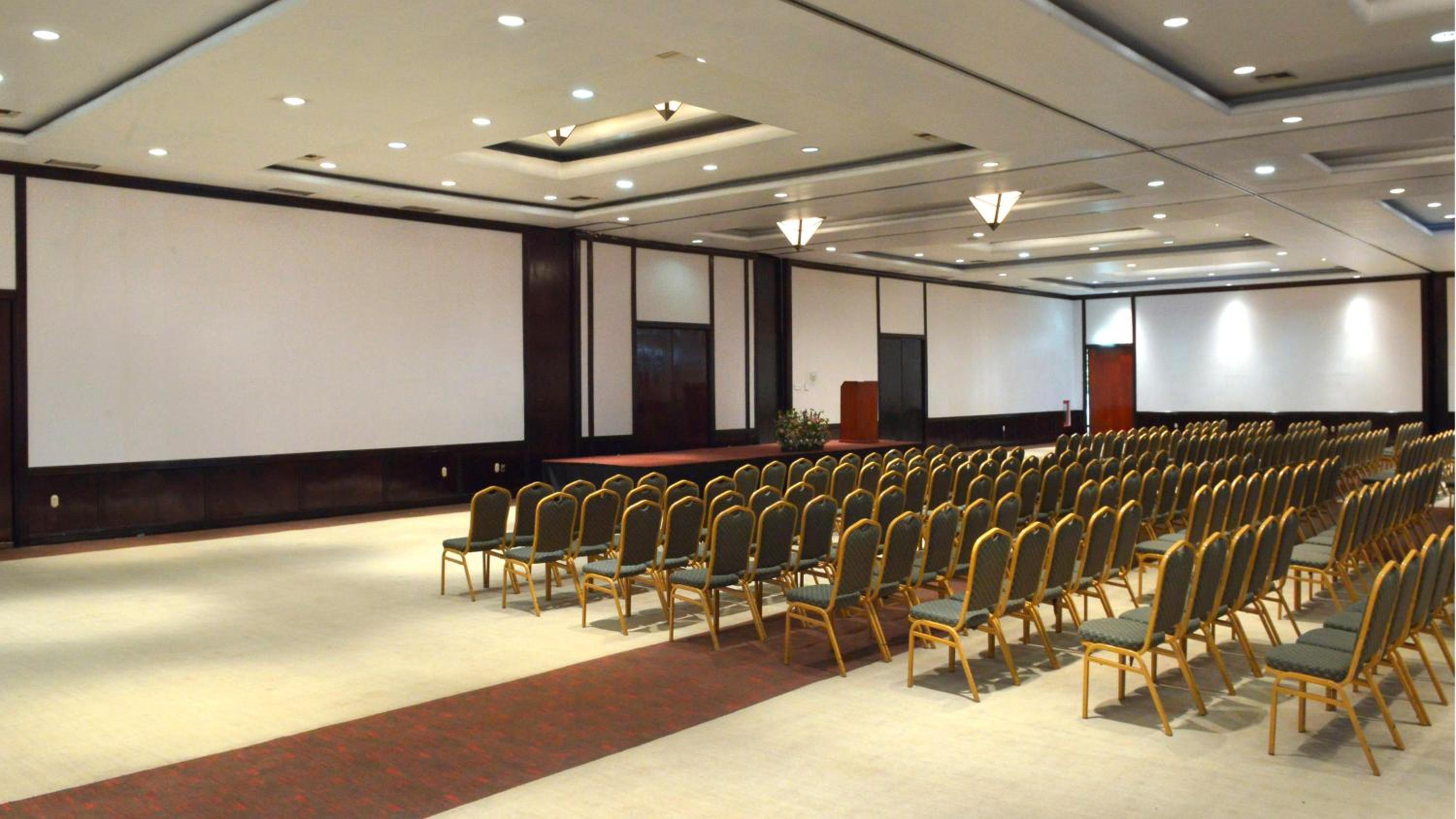Holiday Inn Morelia, an IHG Hotel - Property Image 4