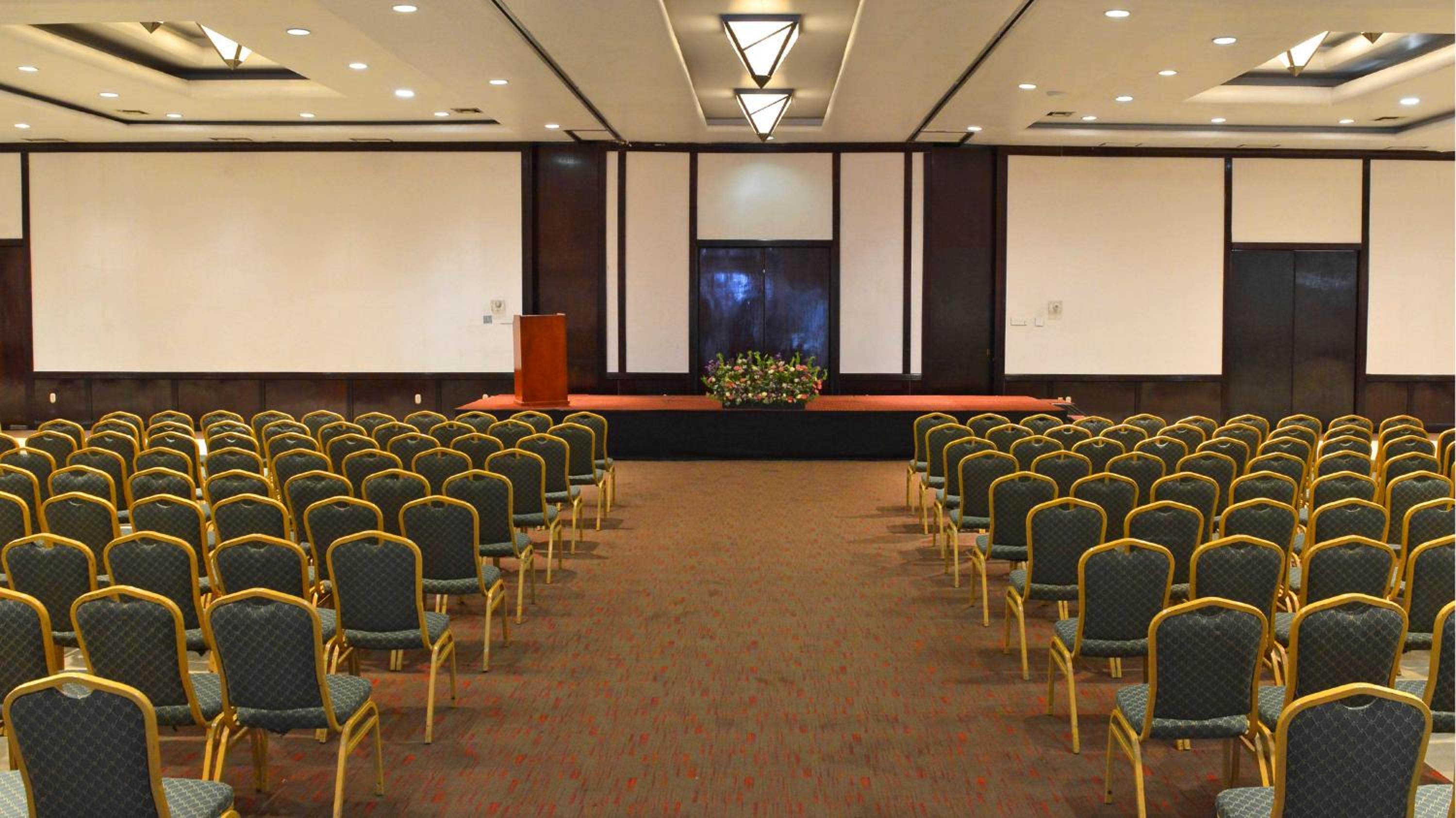 Holiday Inn Morelia, an IHG Hotel - Property Image 26