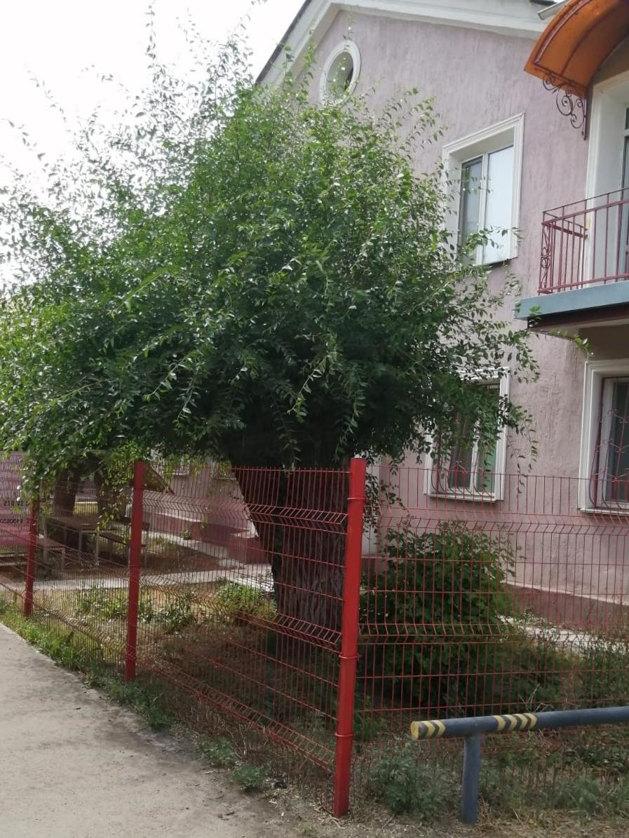 Photo 46