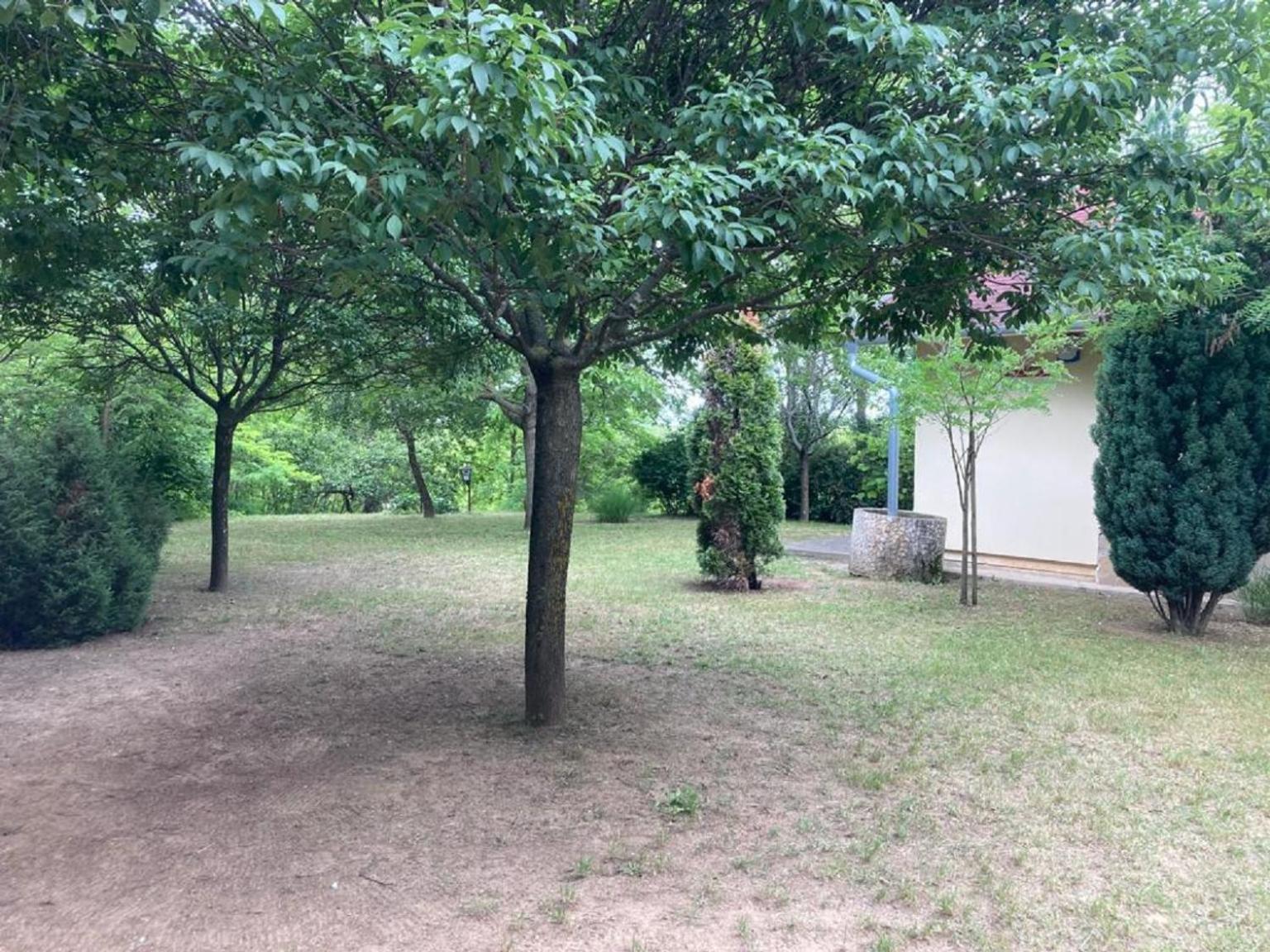 Photo 36