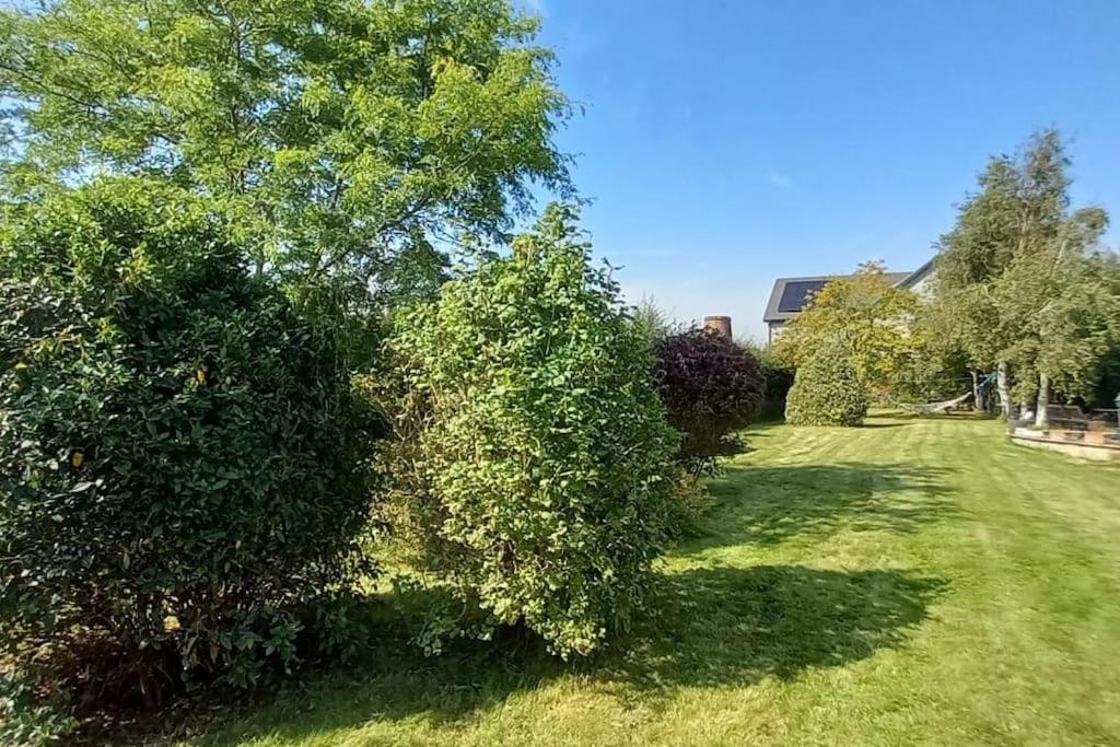 Millfields cottage and garden
