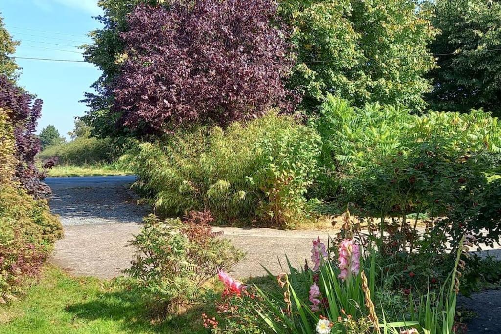 Millfields cottage and garden