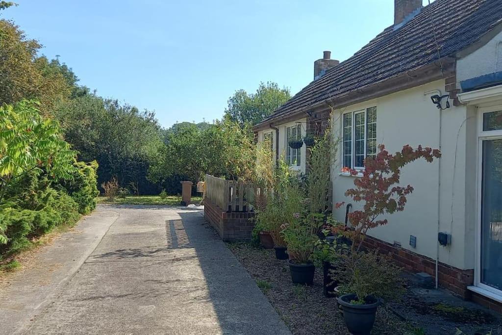 Millfields cottage and garden