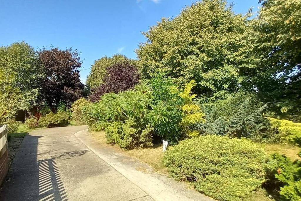 Millfields cottage and garden