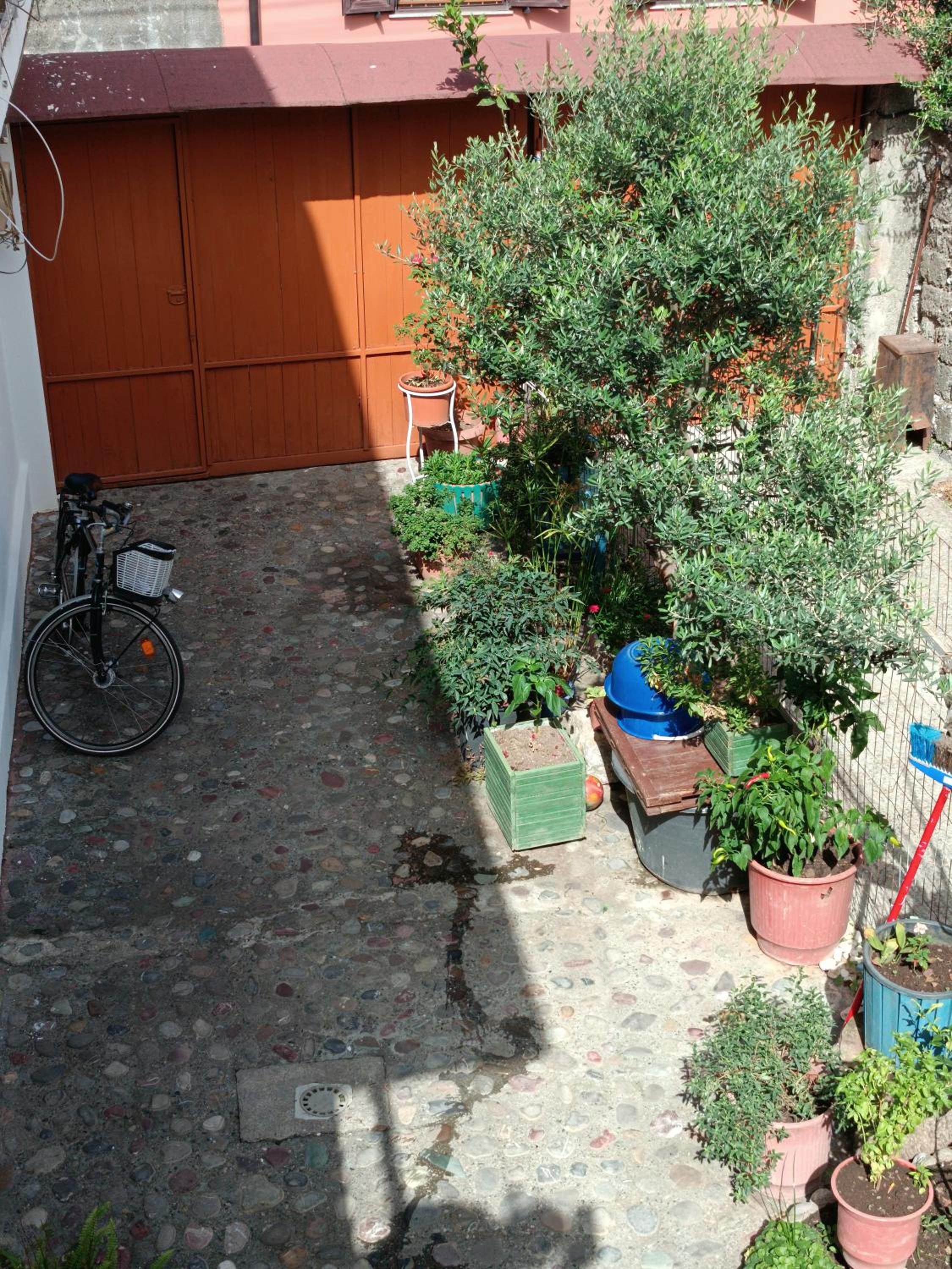 Sermi's House