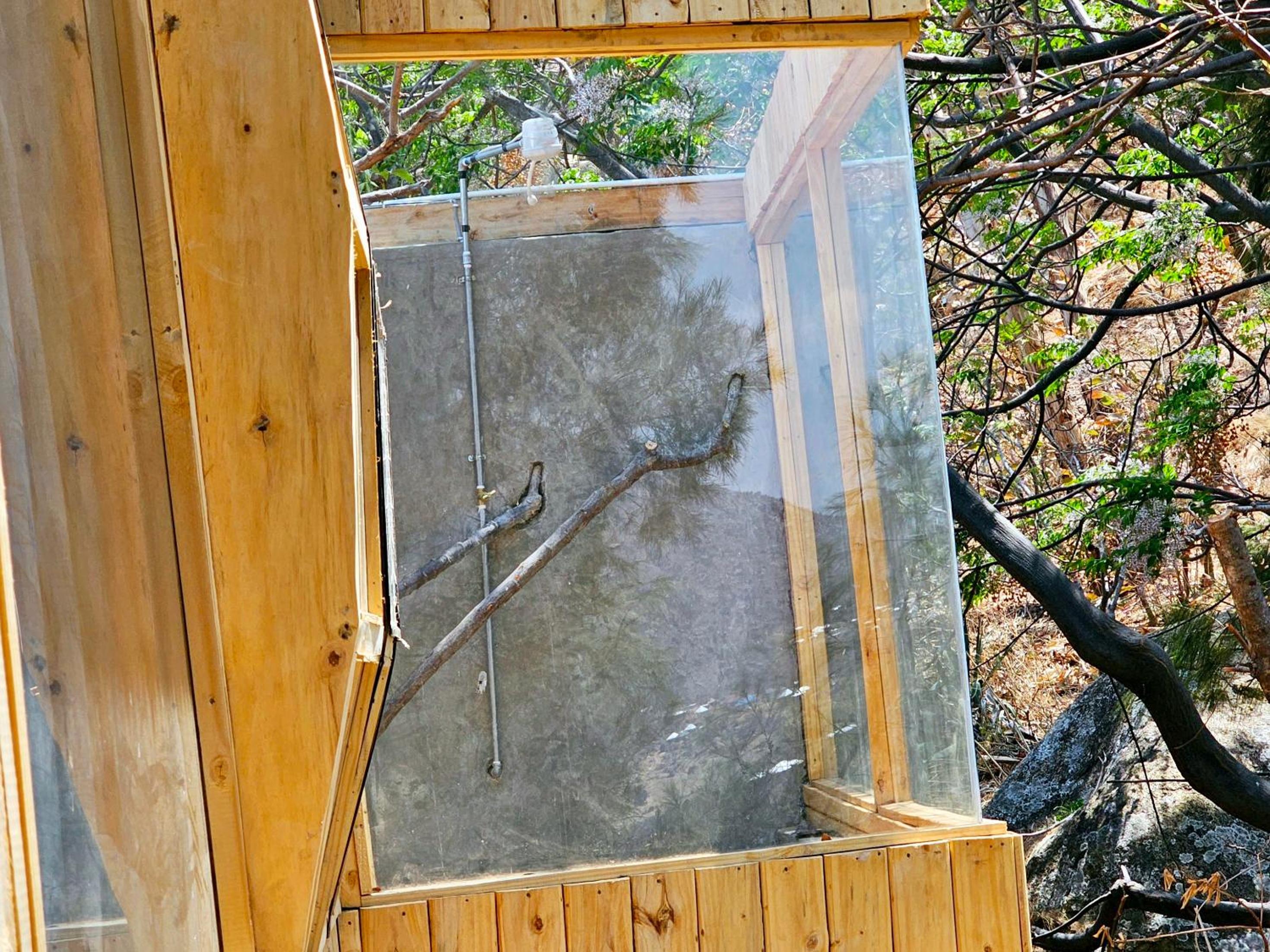 Jabali Mountain Cabin
