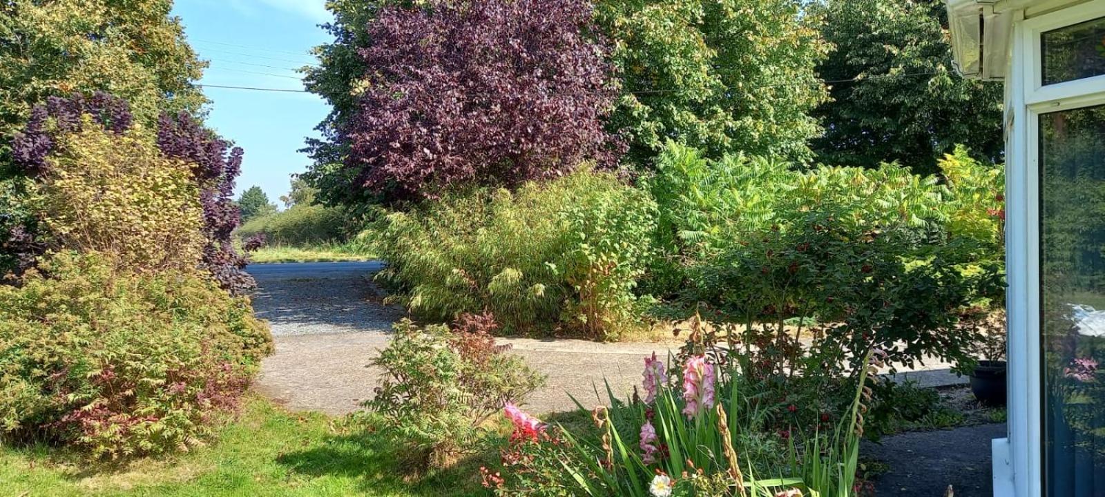 Millfields cottage and garden