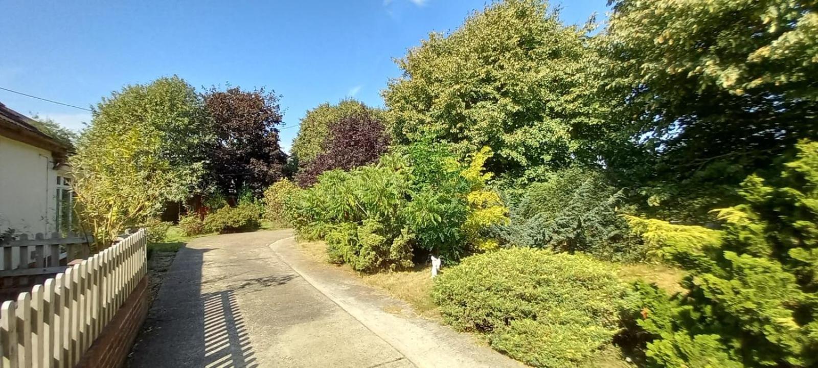 Millfields cottage and garden