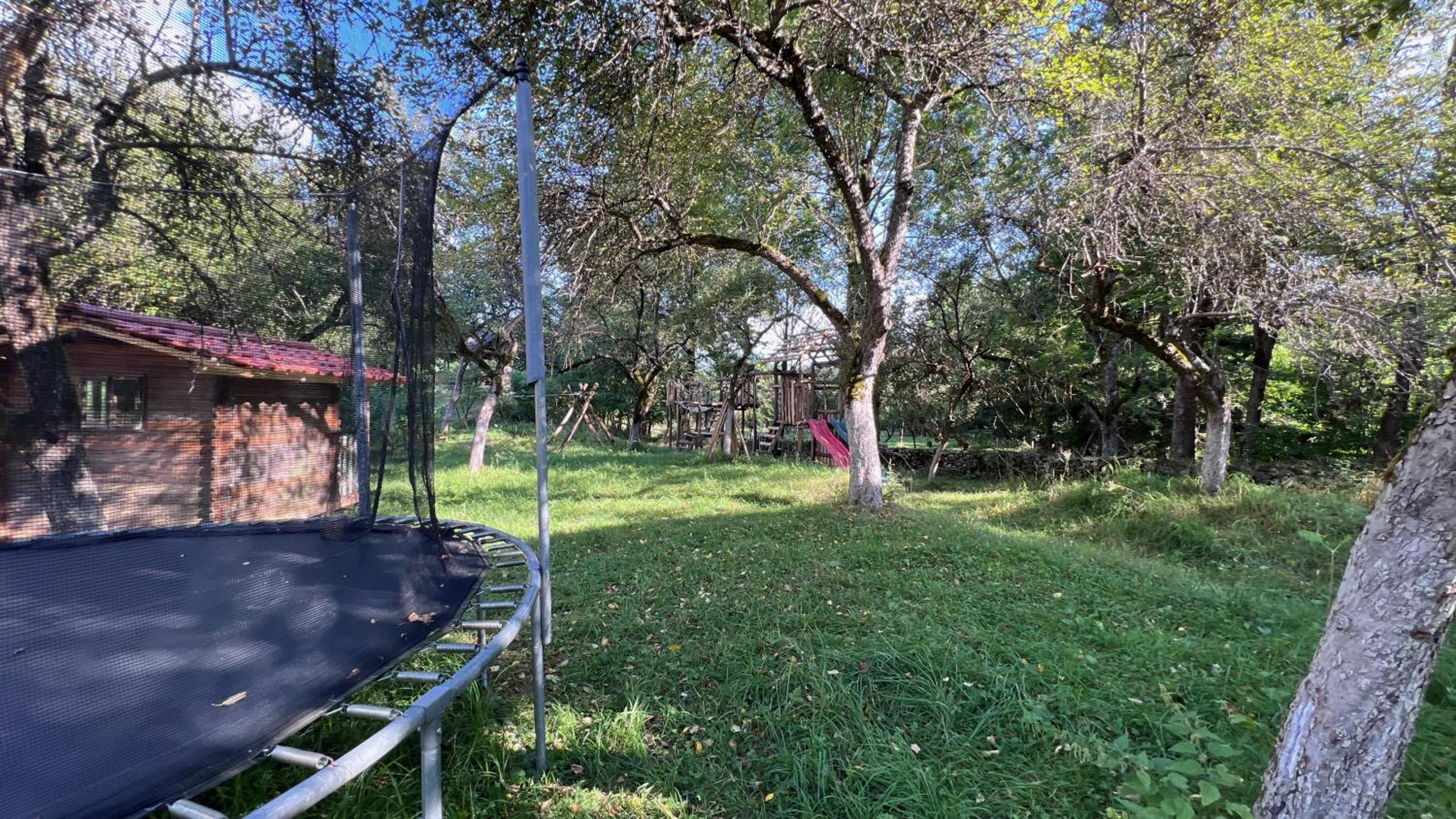 Photo 41