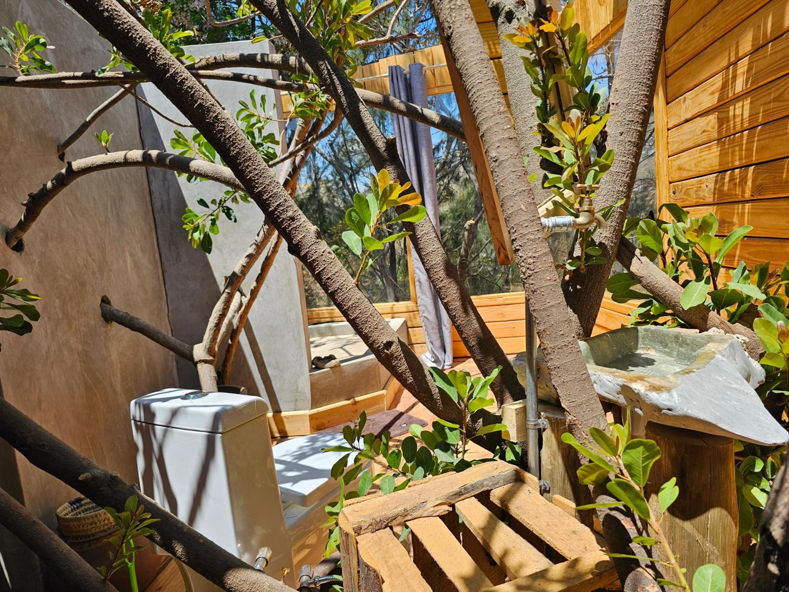 Jabali Mountain Cabin