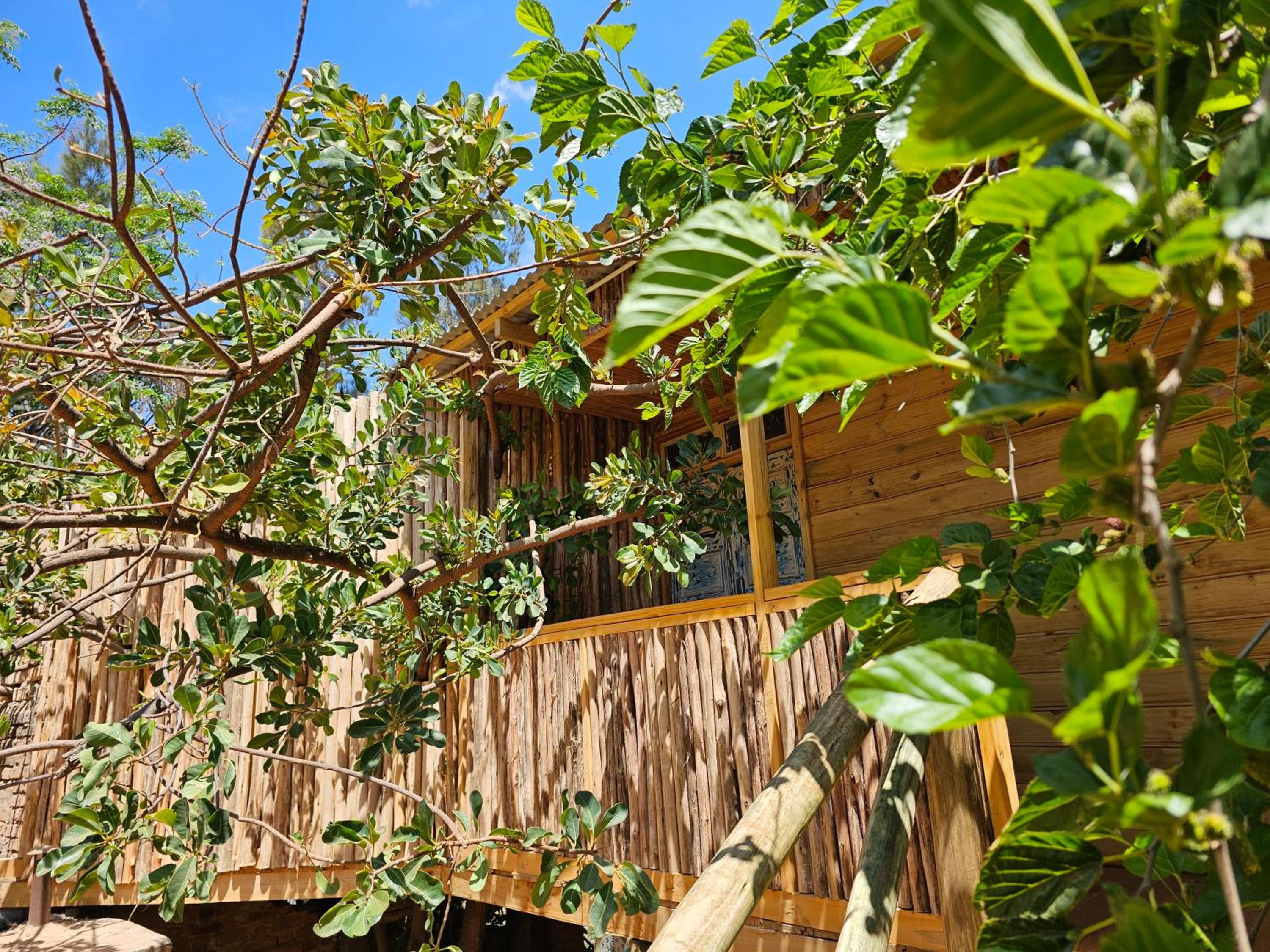 Jabali Mountain Cabin