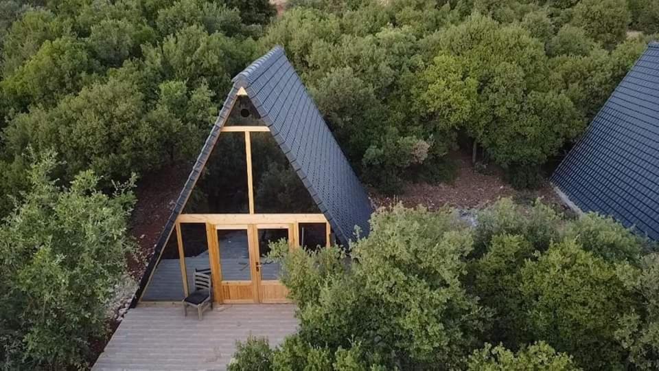 Nature Forest Cabins