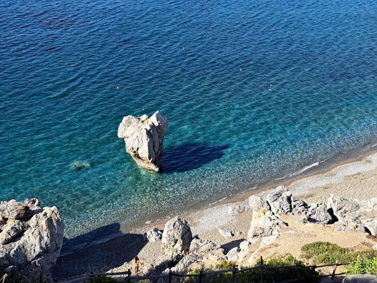 Varsamos
