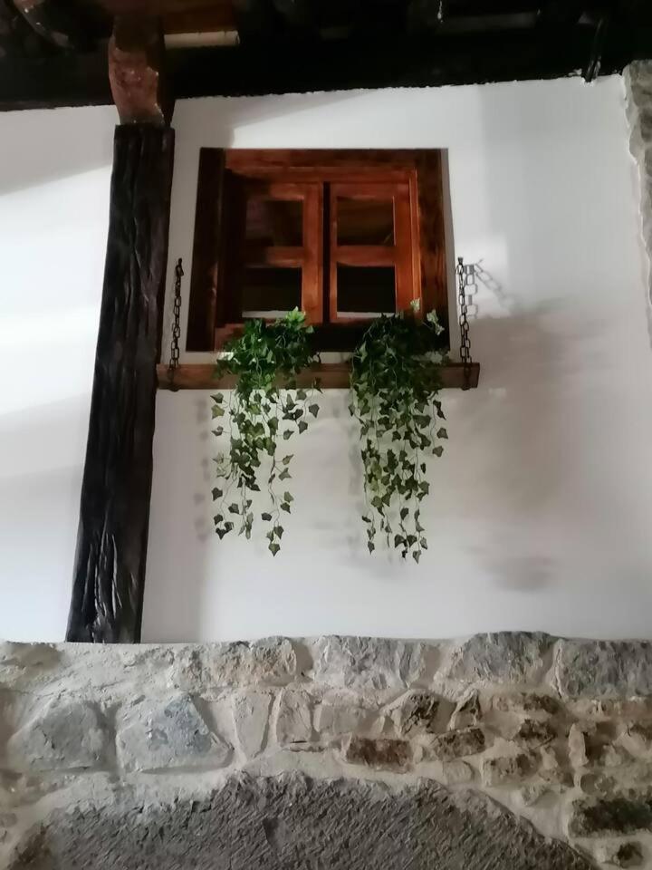 El invernal de Vilabela
