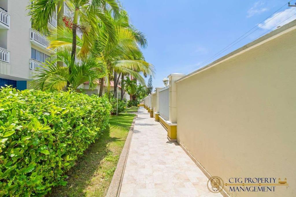 Apartamento con Excelente Ubicación - Camina a Buena Vista