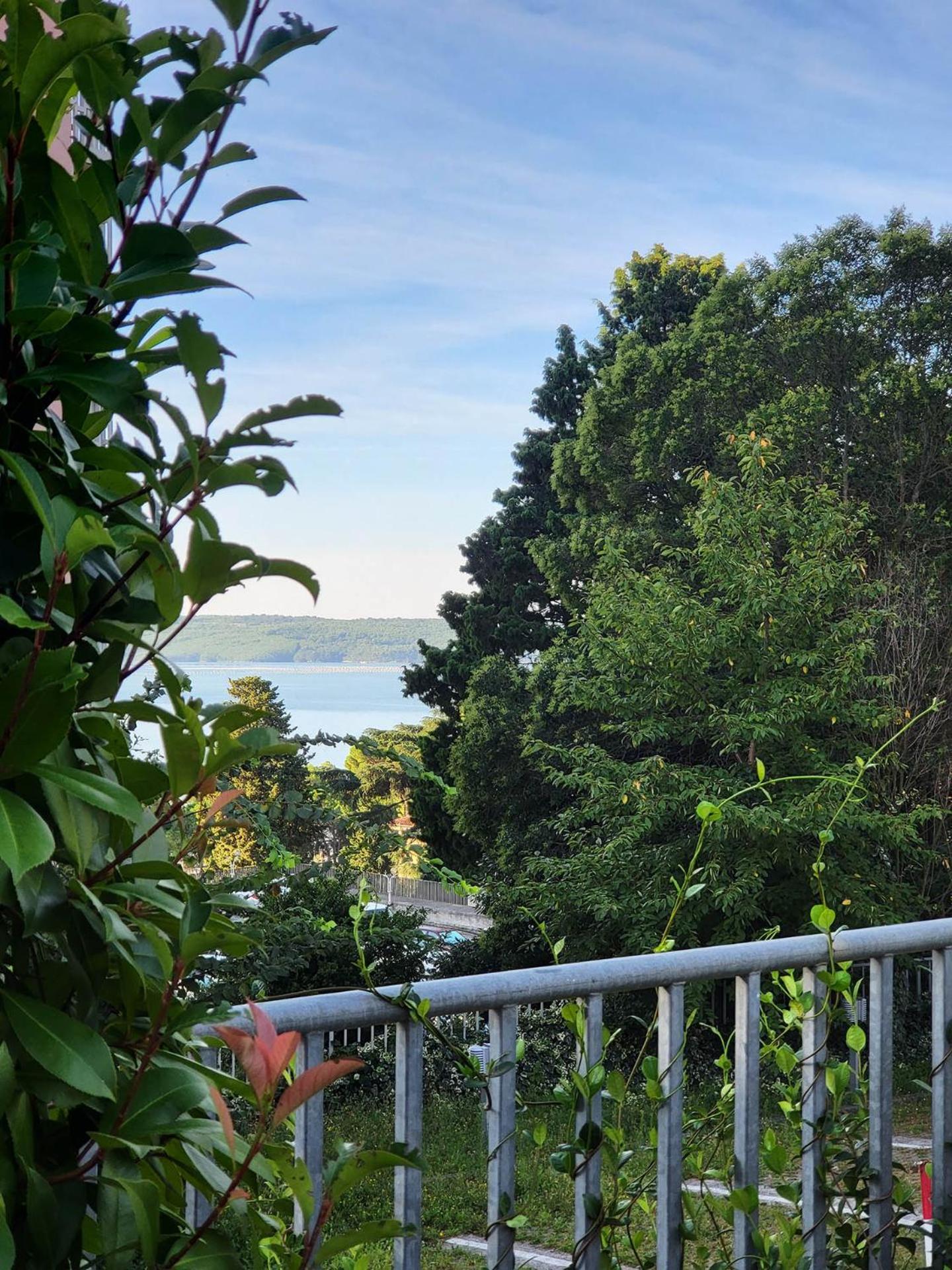 Palm Apartment Portorose view 5