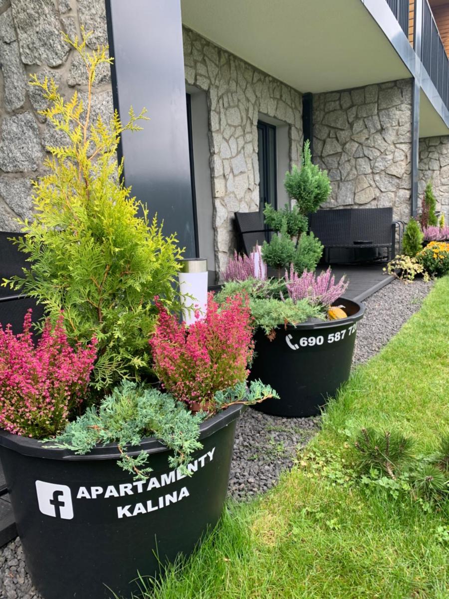 Apartamenty Kalina z widokiem na góry - Kilińskiego view 4
