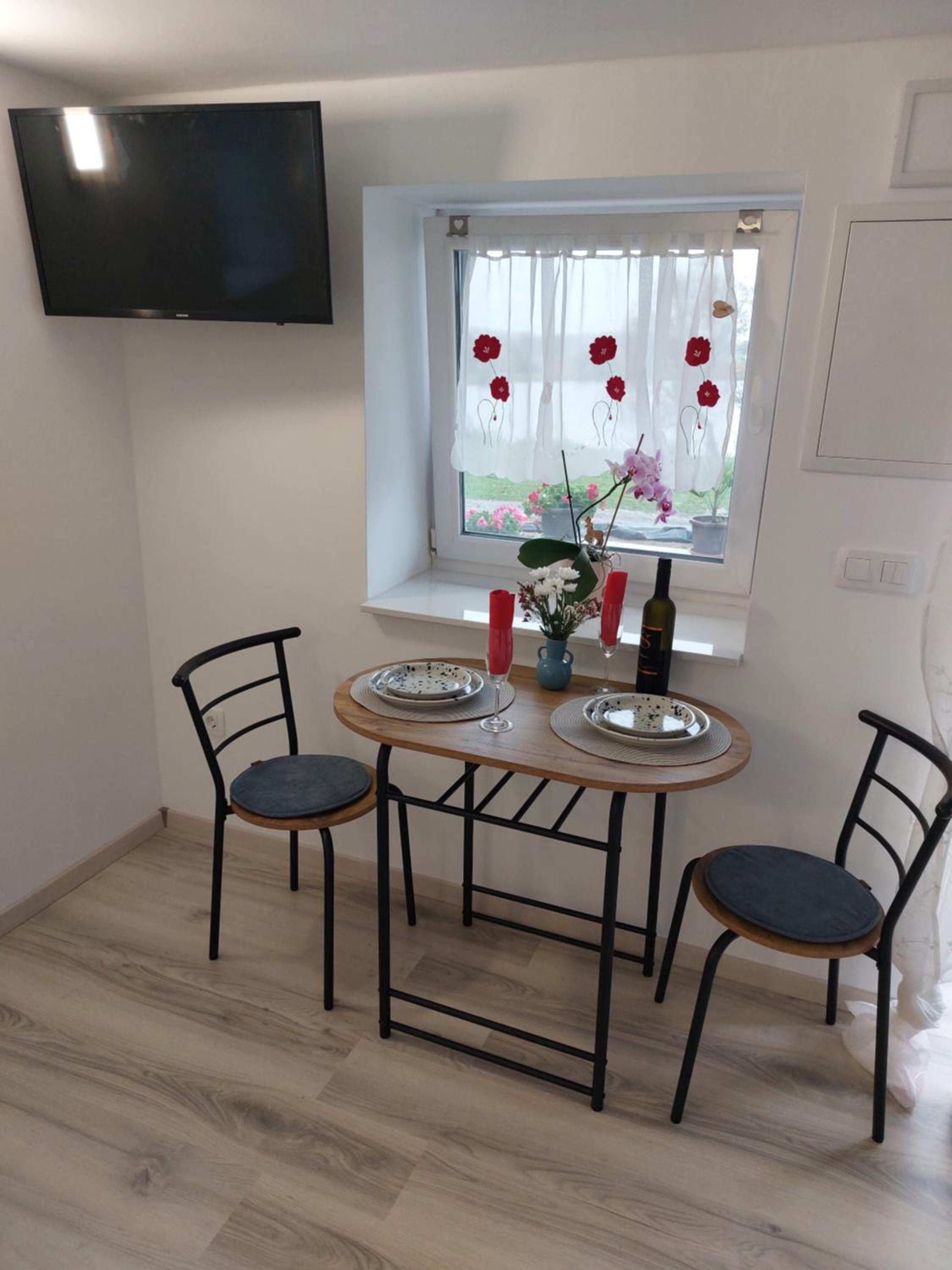 Prenočišče ČERNOŠA Apartma Studio view 3
