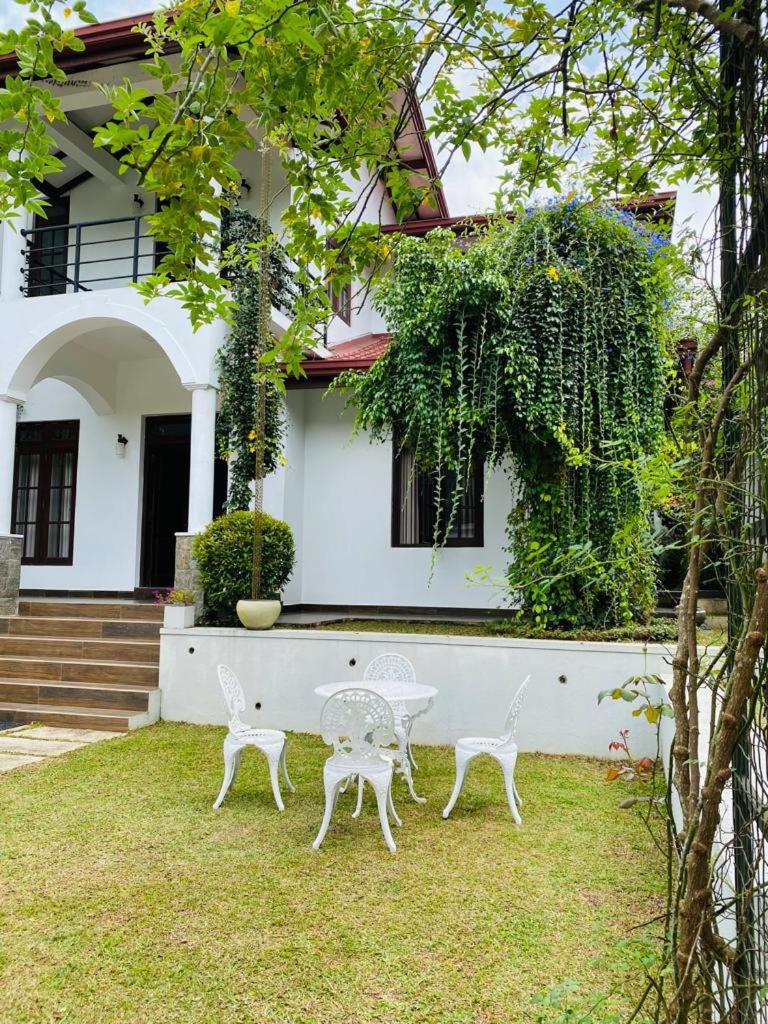 Serene Villa view 3