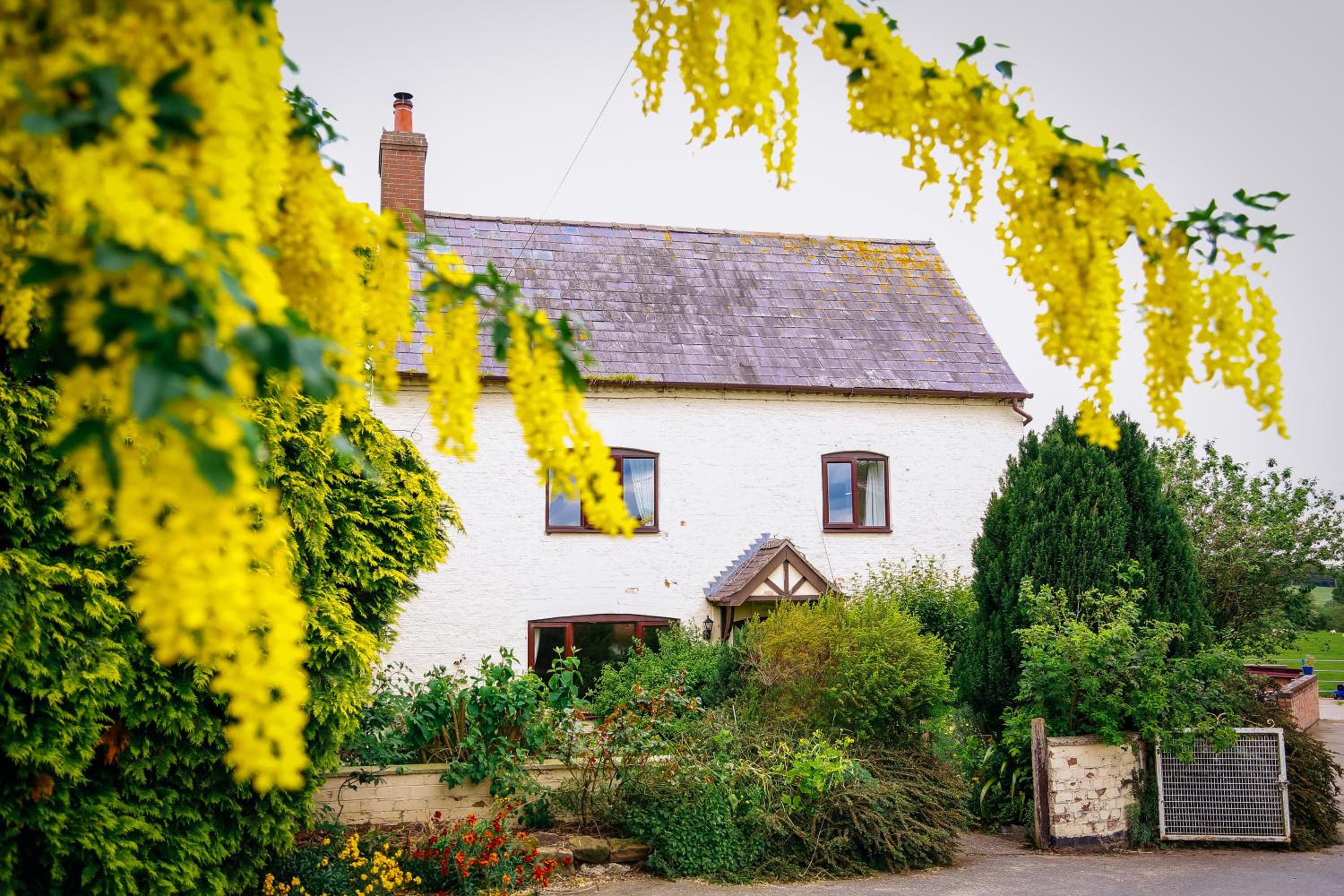 Millmoor Farm Holidays view 3