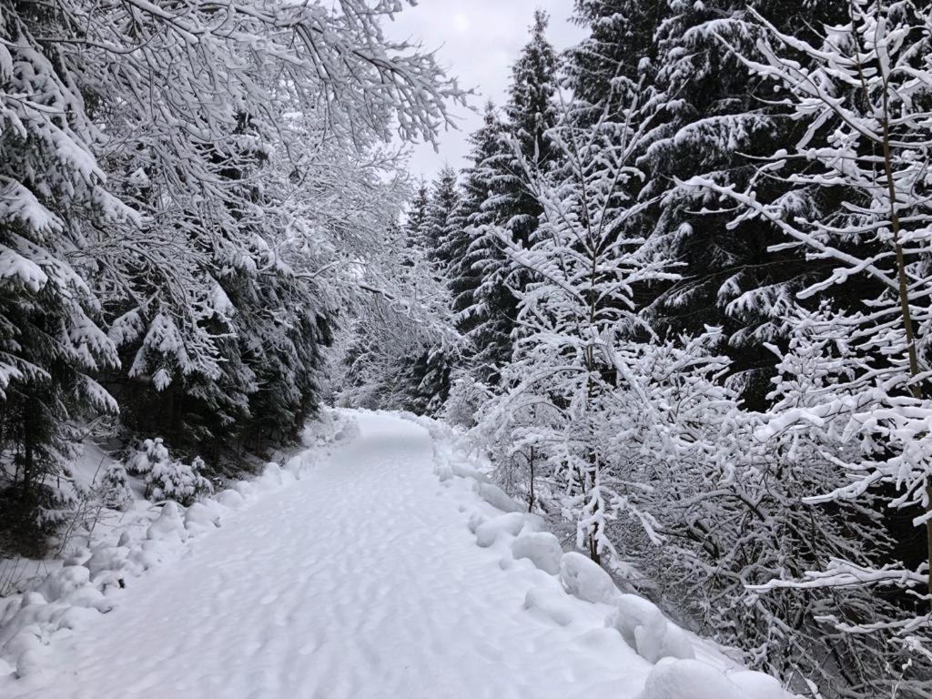 Penzion U Bečvy
