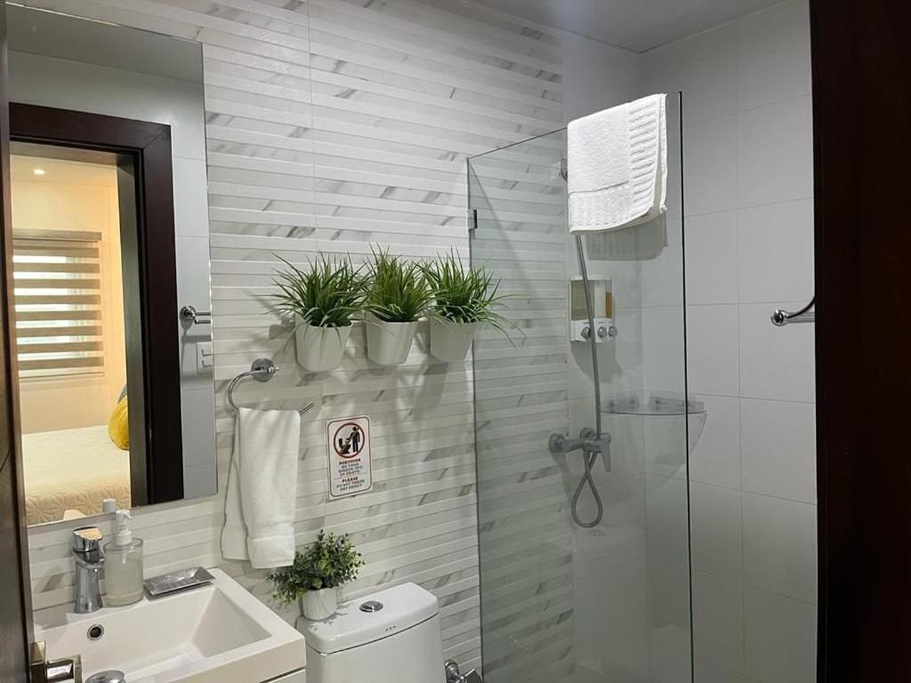 SOHA SUITES II view 4