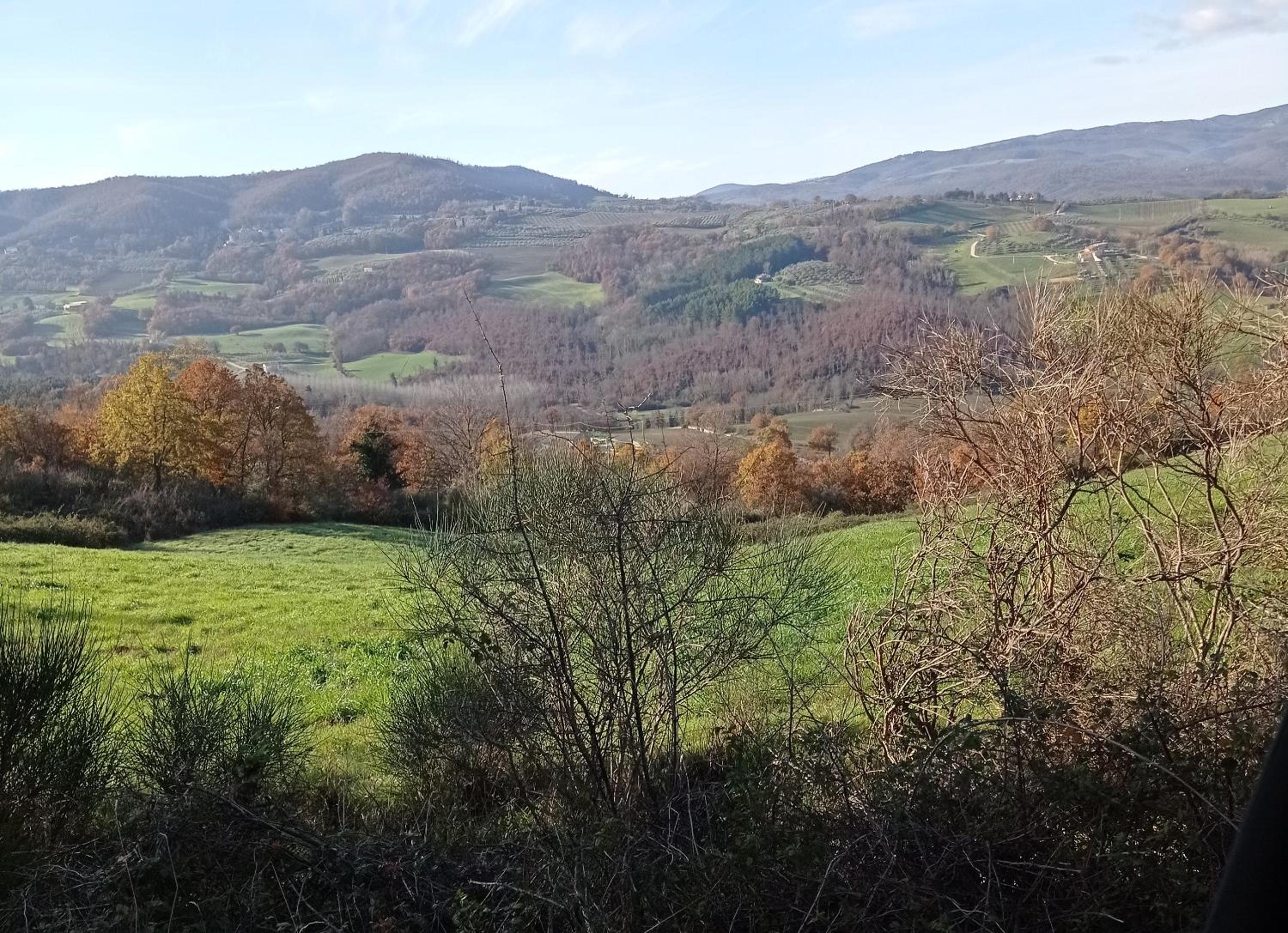 B&B Casale Ormano view 5