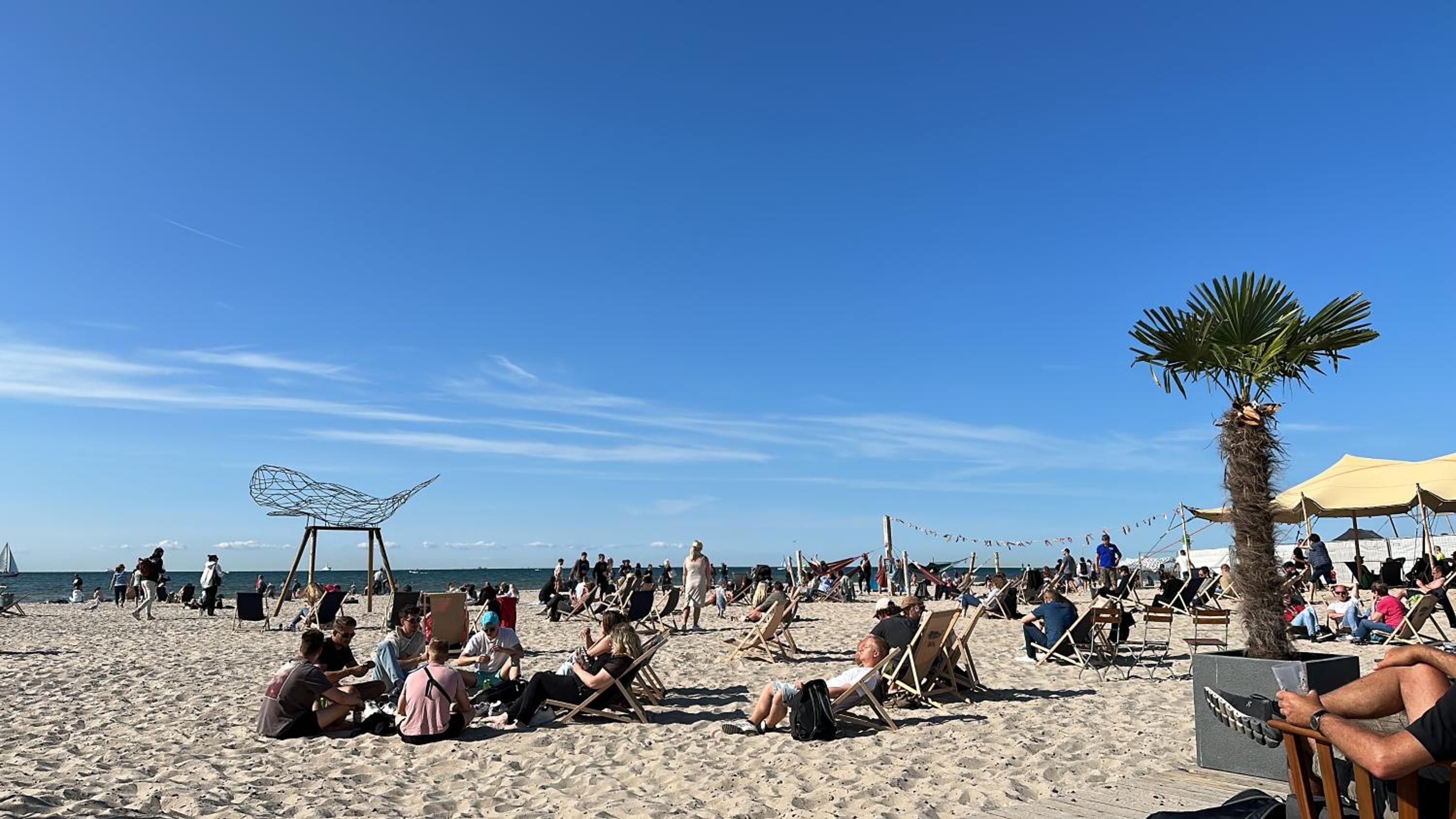 Birnbom Warnemünde