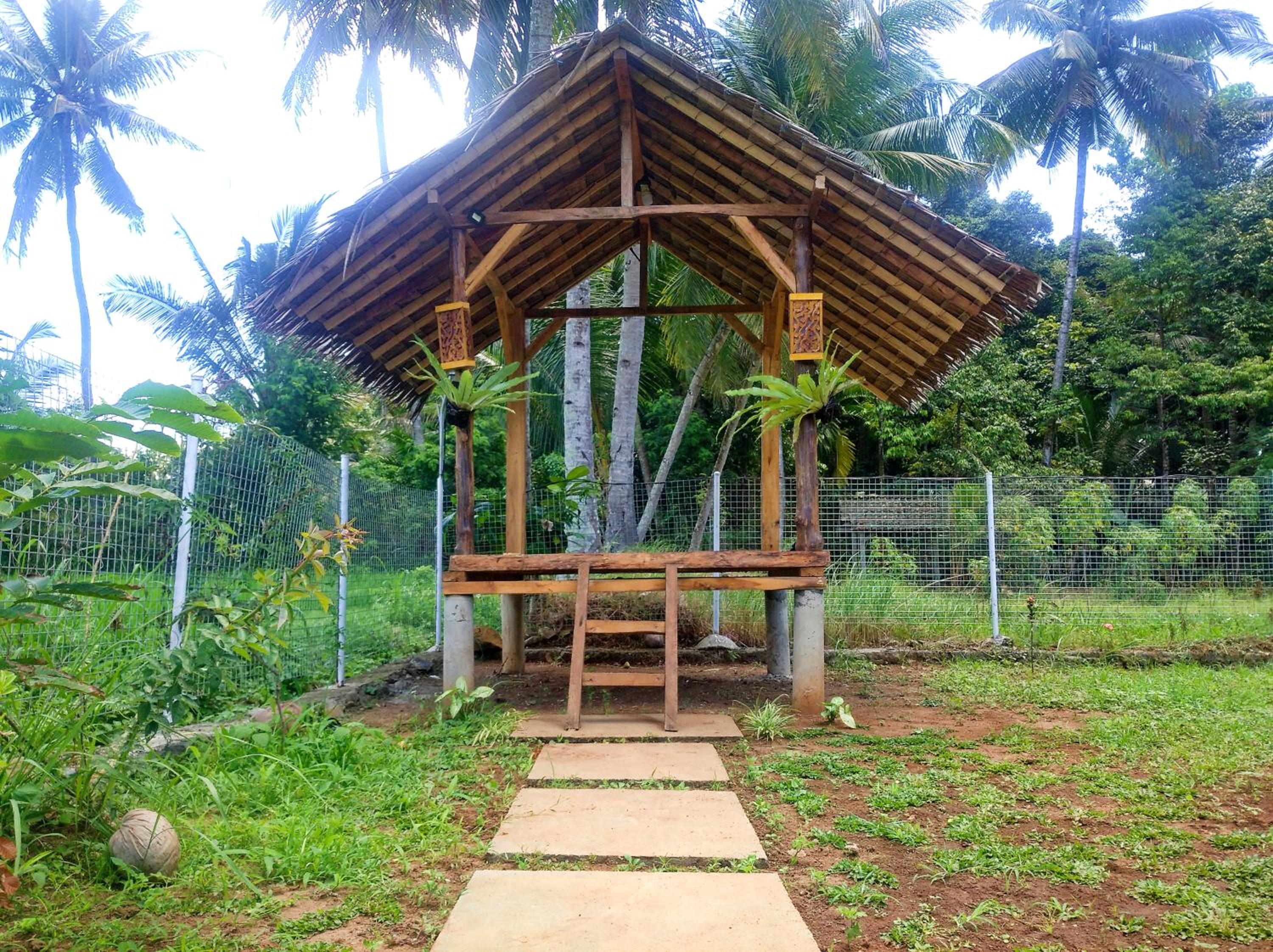 Photo 13