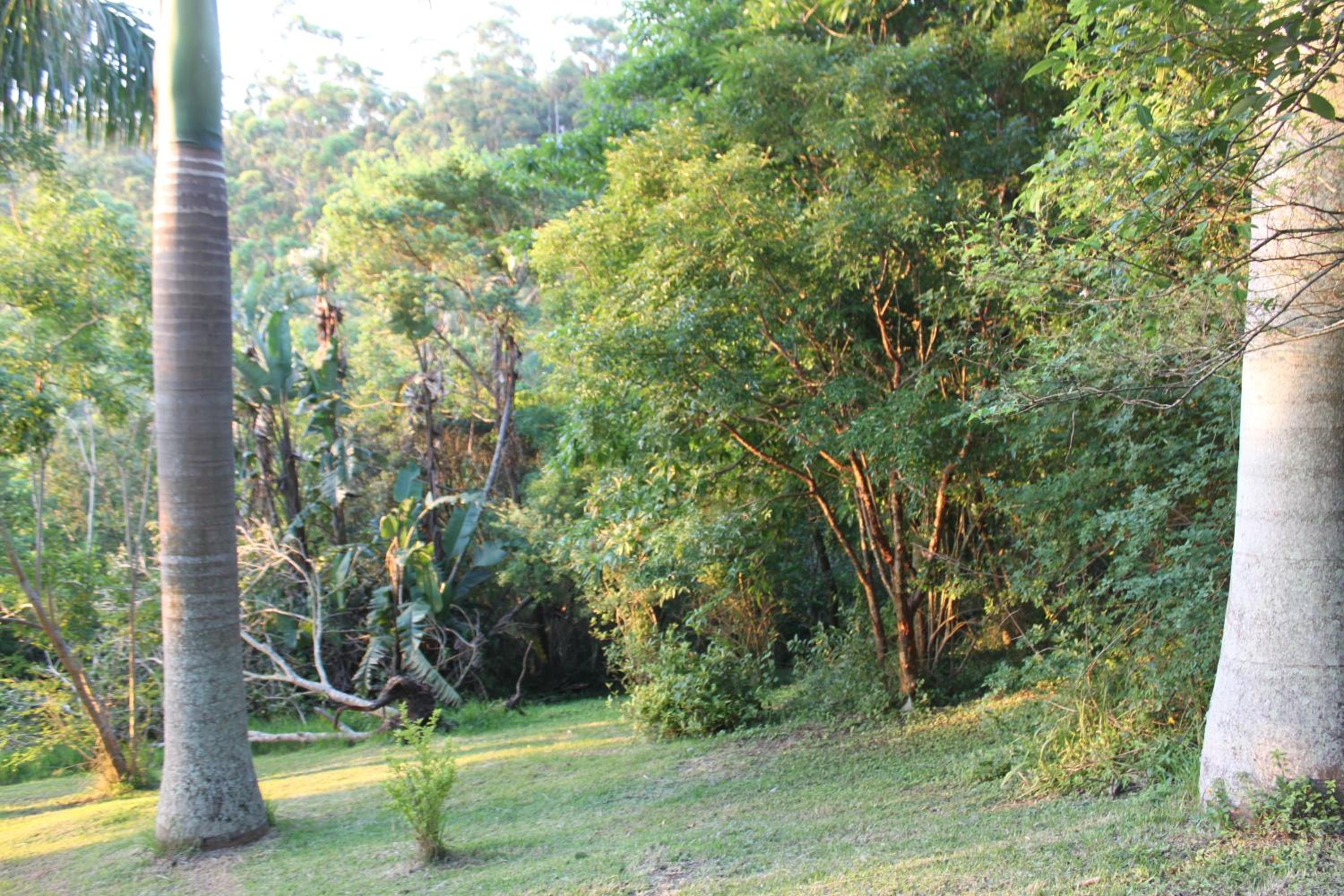 Photo 45