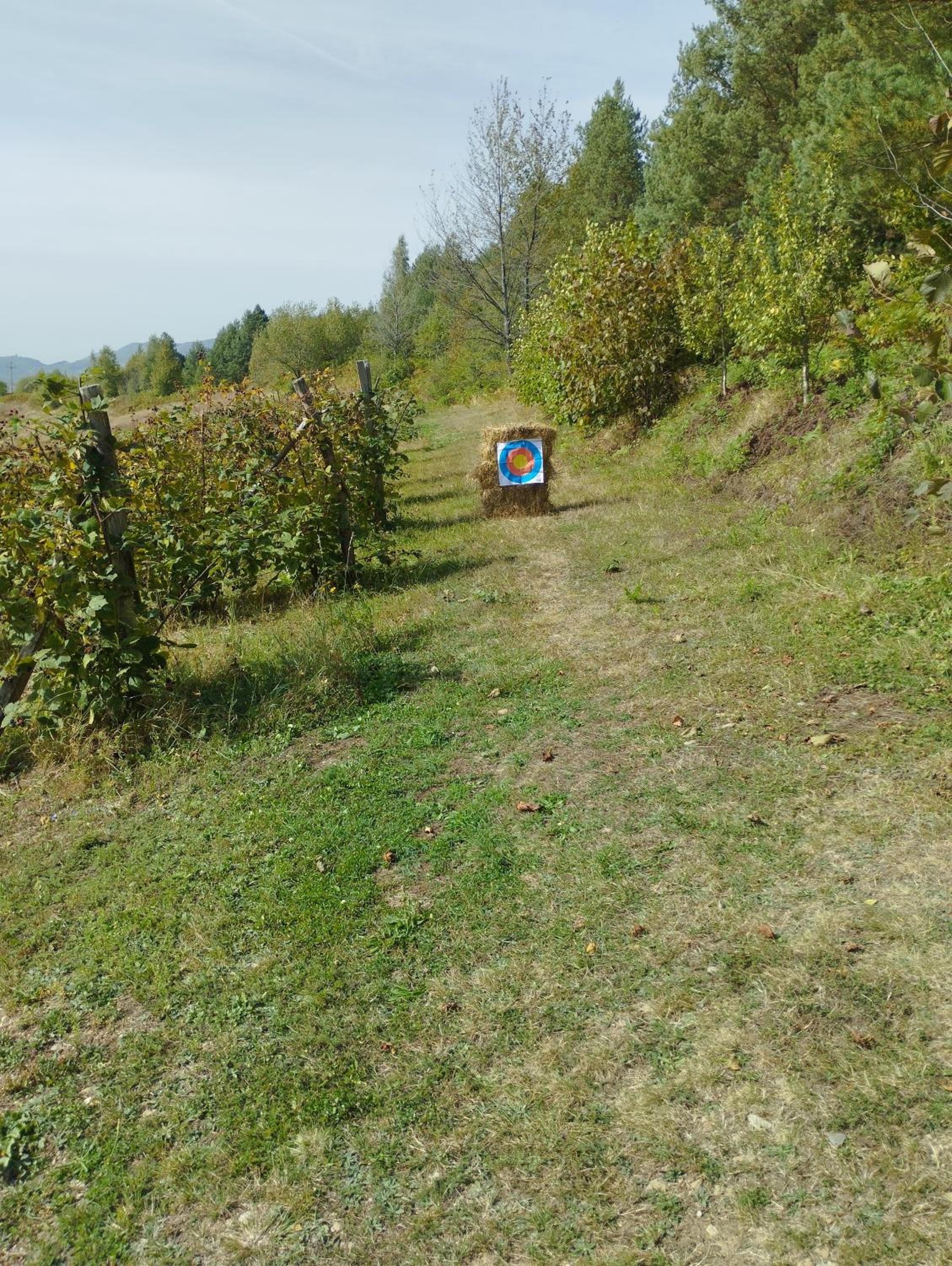 Brvnare Kušići