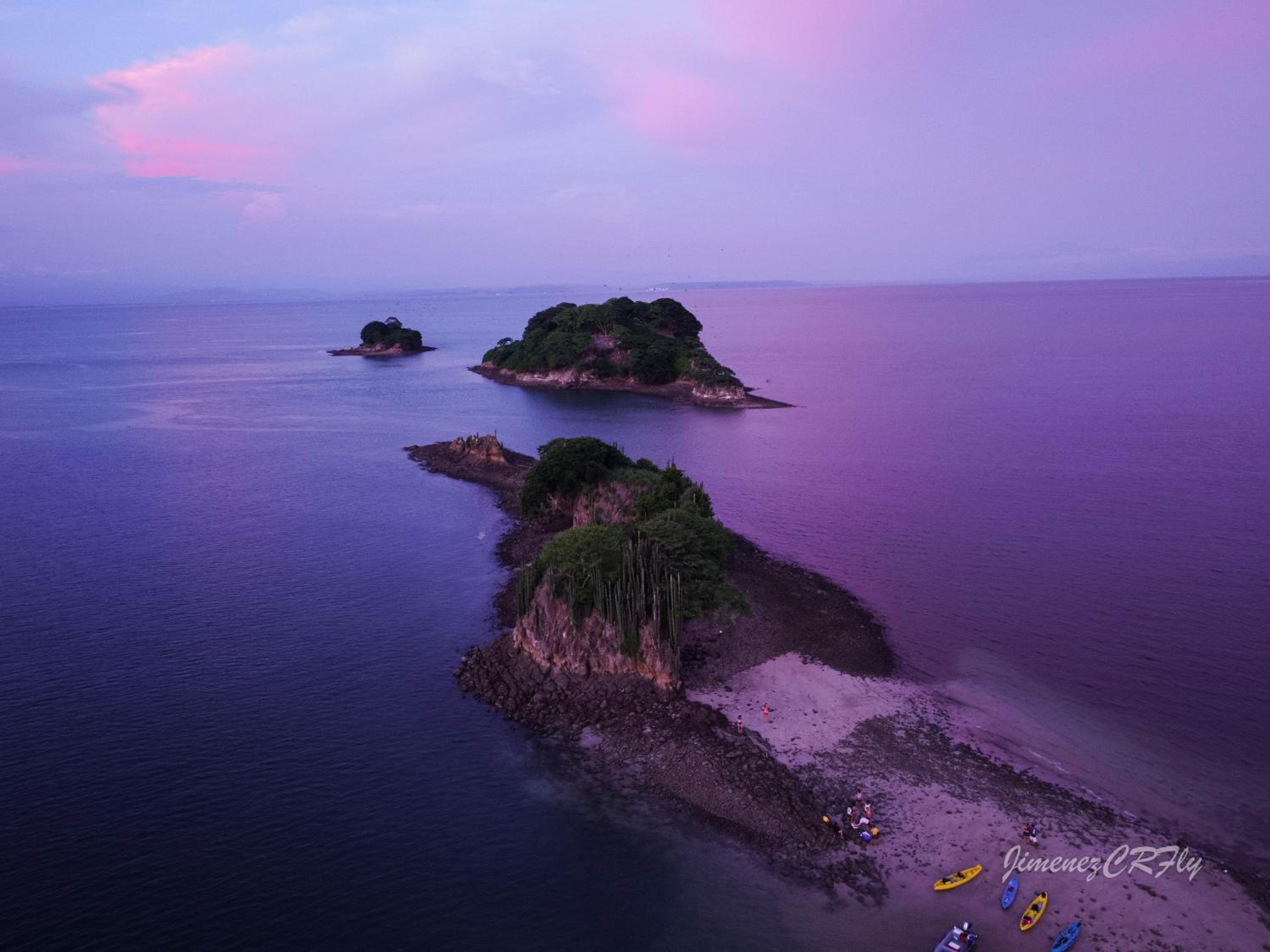 Bioluminiscencia Hostel Tours - South