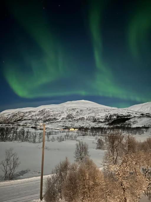 Aurora Borealis