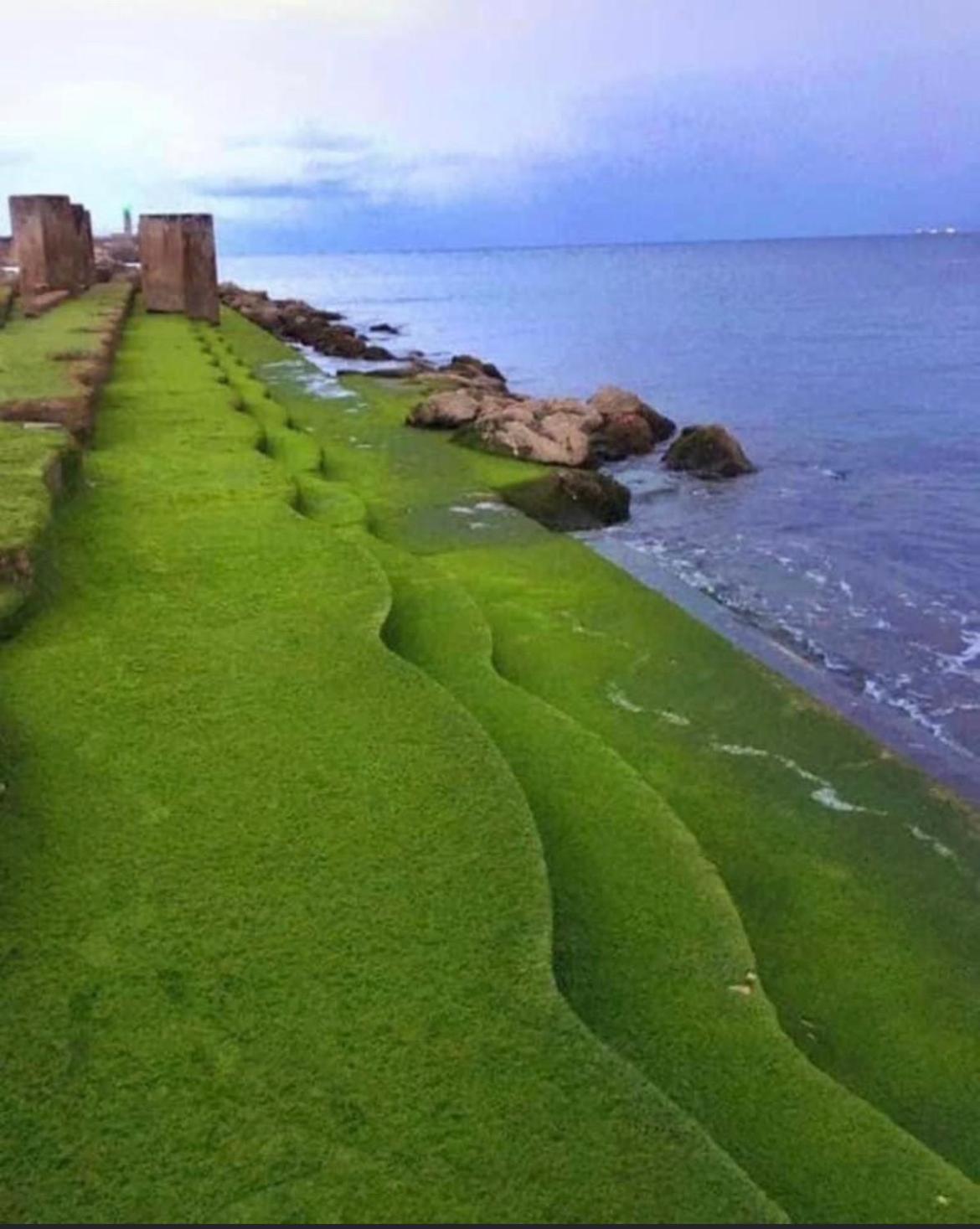 DÍAS DE ENSUEÑO EN CASTRO URDIALES