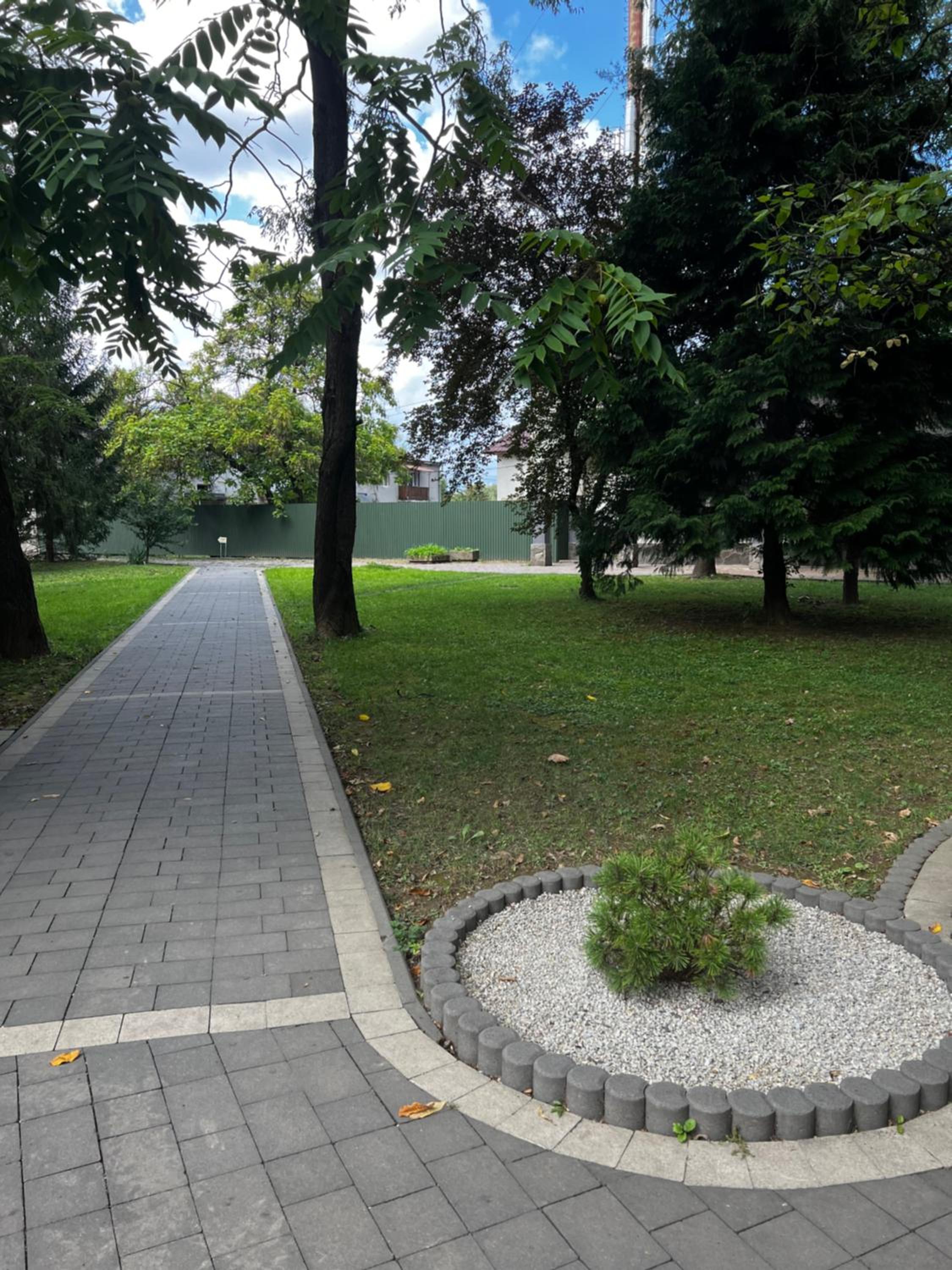 Photo 11