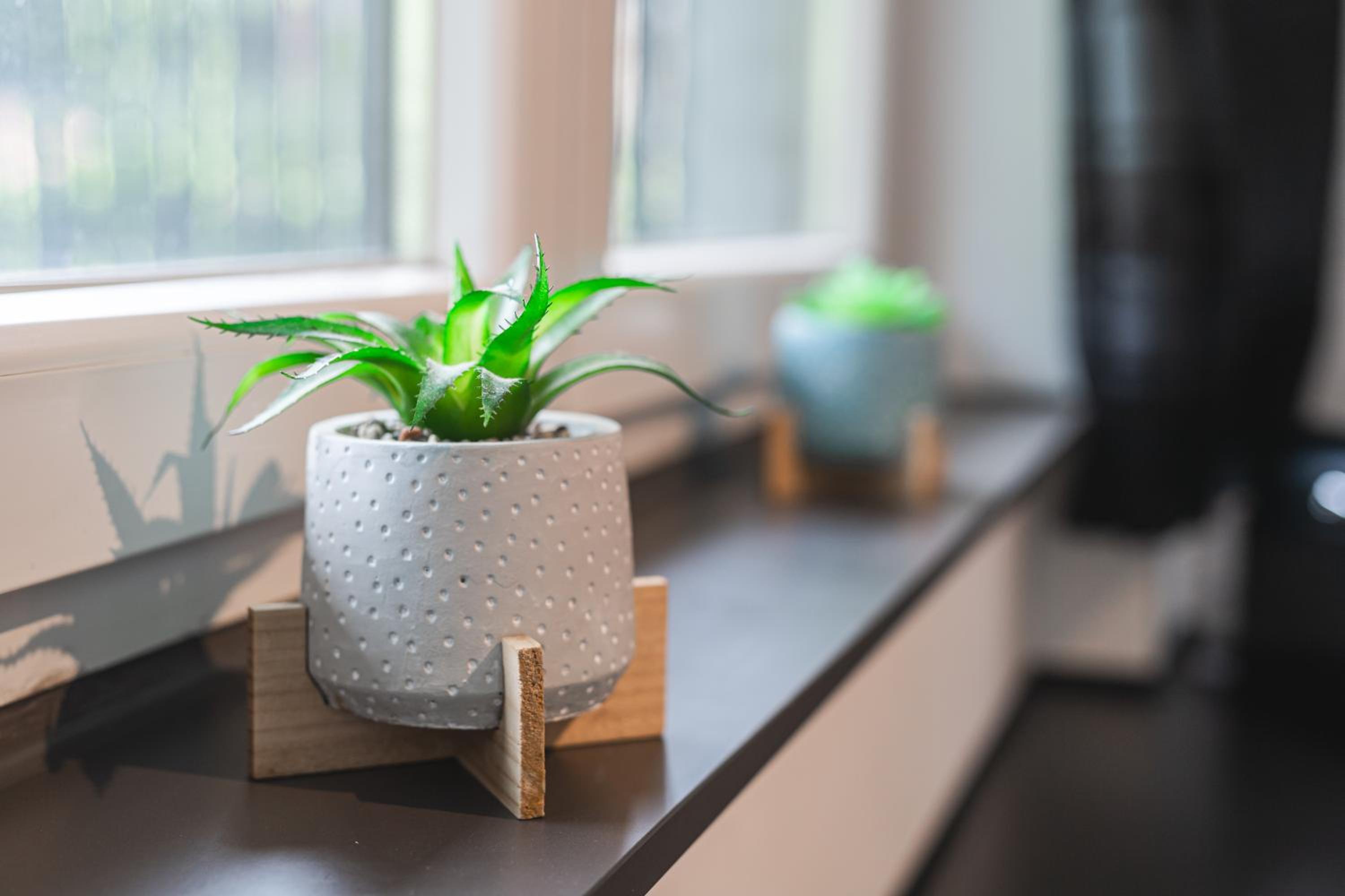 Les Figuiers - Appartement Cozy avec Jardin