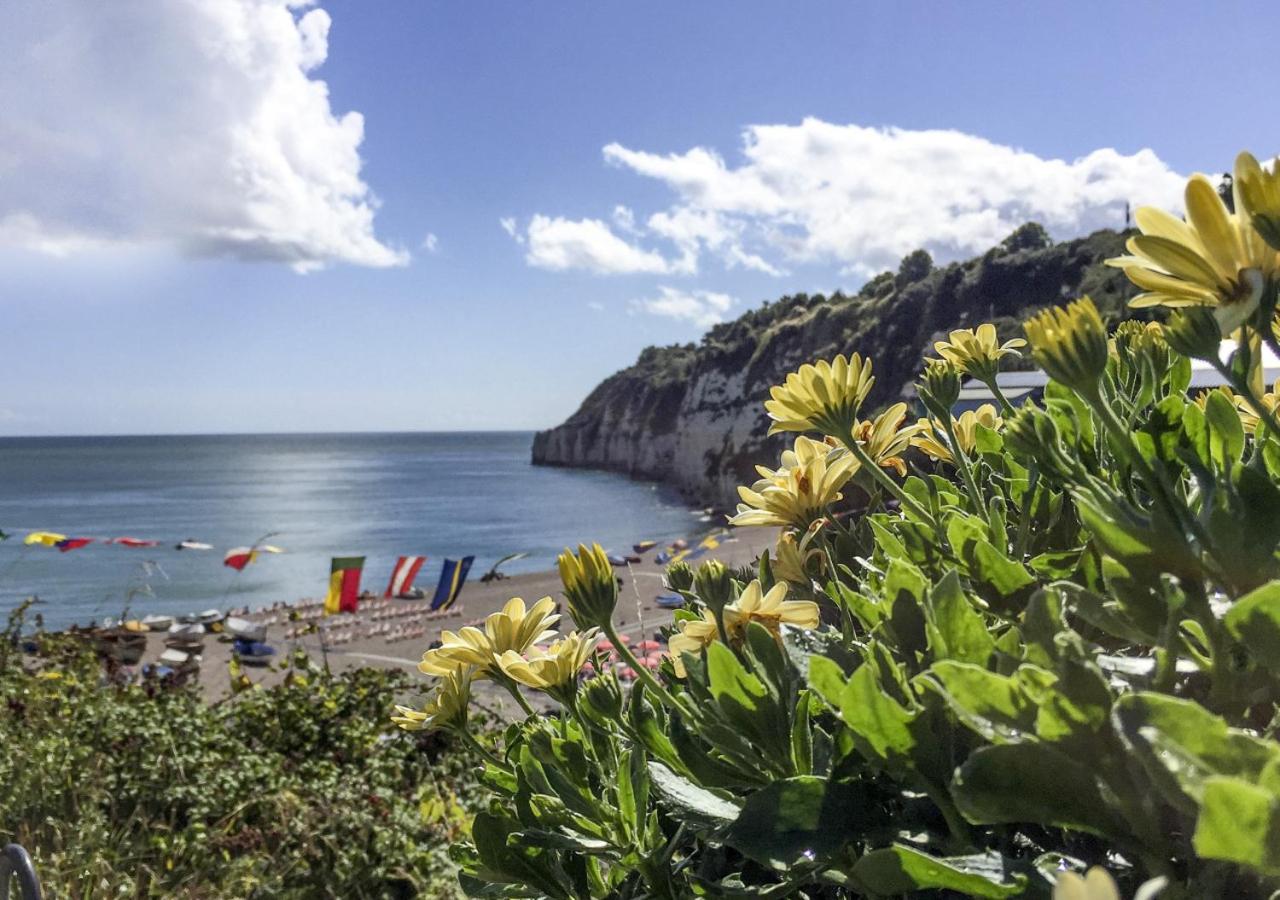 2 Bed in Seaton oc-mbhol