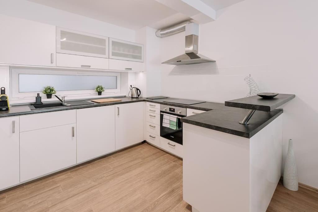 BNB SK Miletičova Apartment 1 view 3